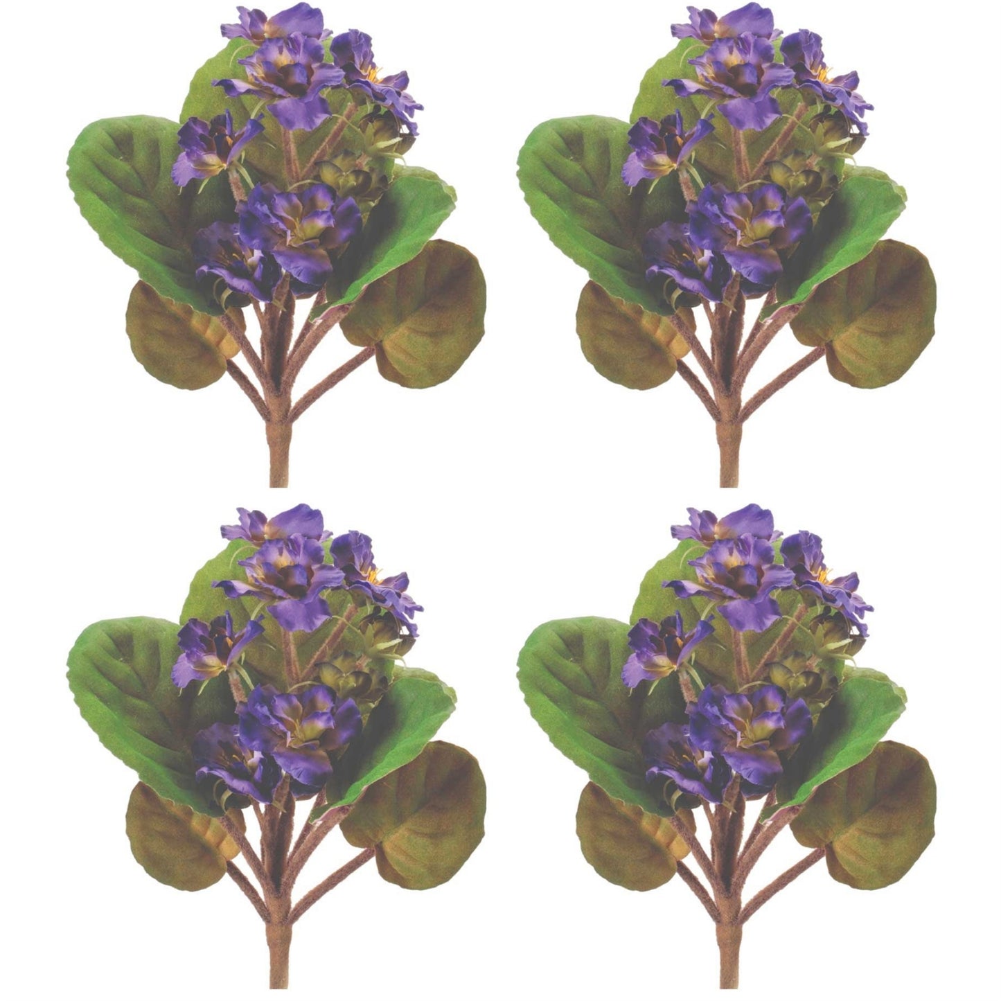 African Violet Flower Bush (Set of 4) alternate view 4