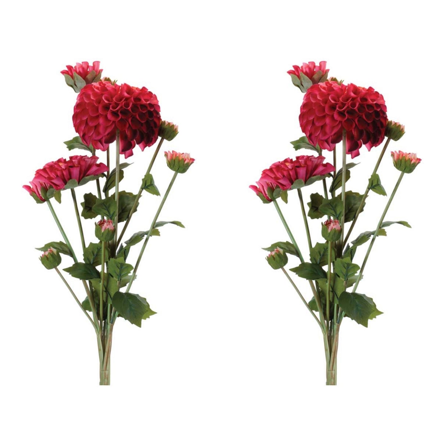 Zinnia Flower Bundle (Set of 2) alternate view 3