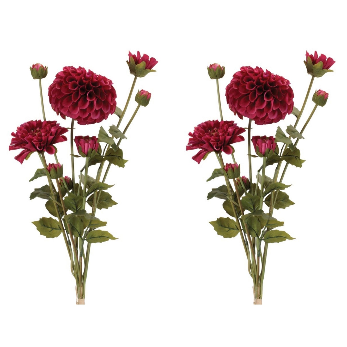 Zinnia Flower Bundle (Set of 2) alternate view 4