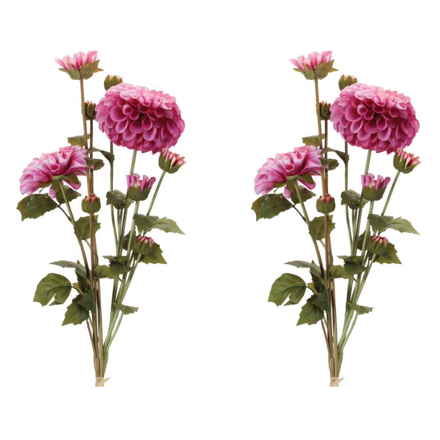 Zinnia Flower Bundle (Set of 2) alternate view 4