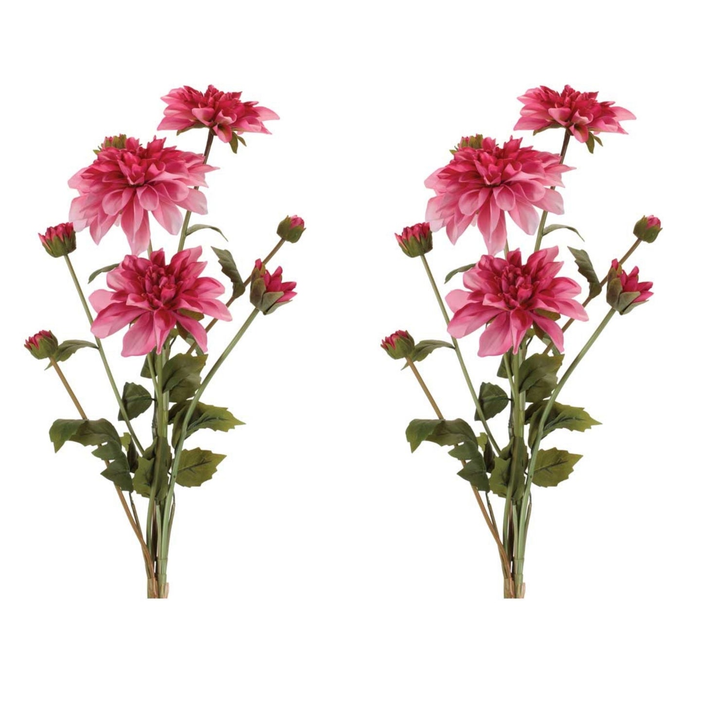 Dahlia Flower Bundle (Set of 2) alternate view 3