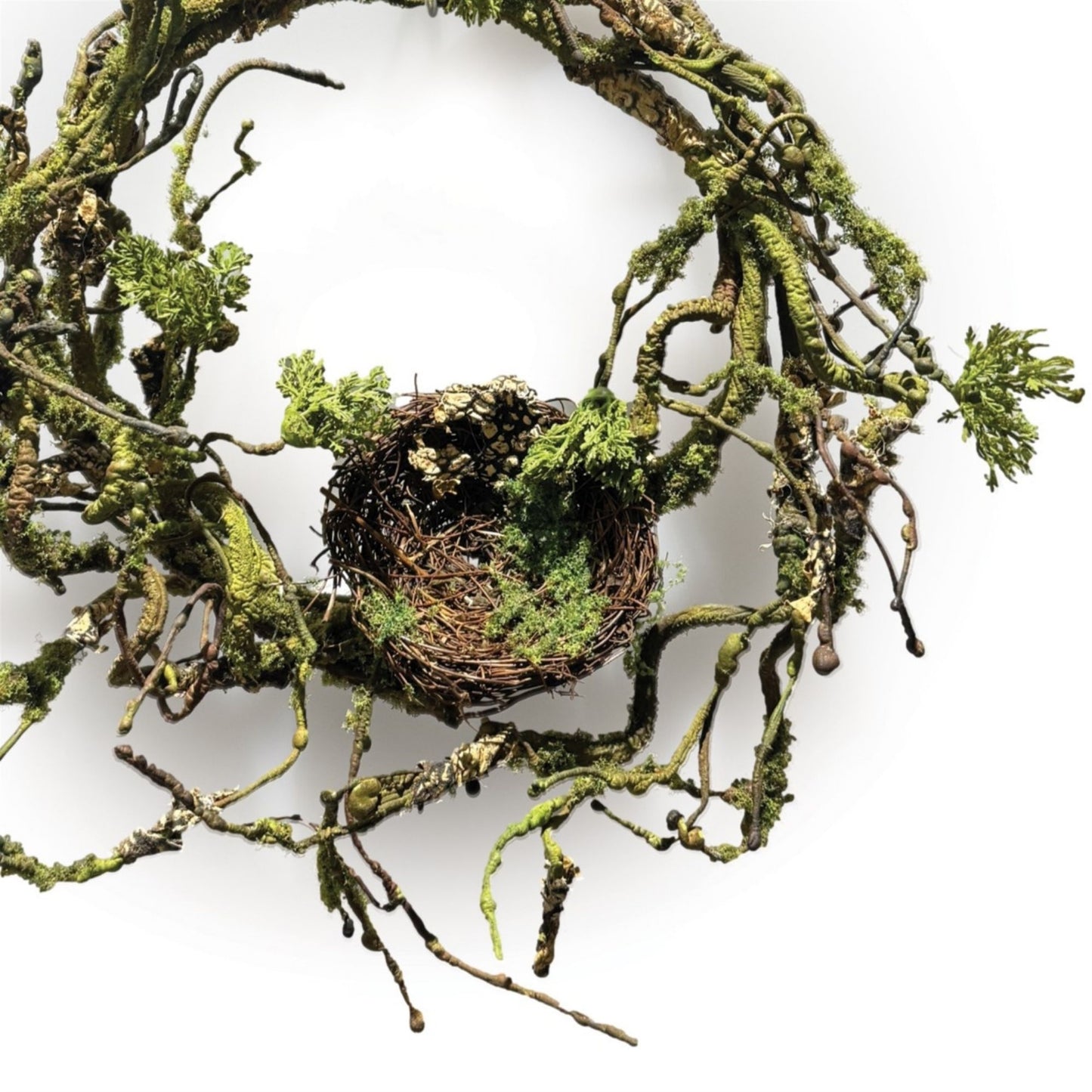 Mossy Twig Wreath with Birds Nest 12"D alternate view 3