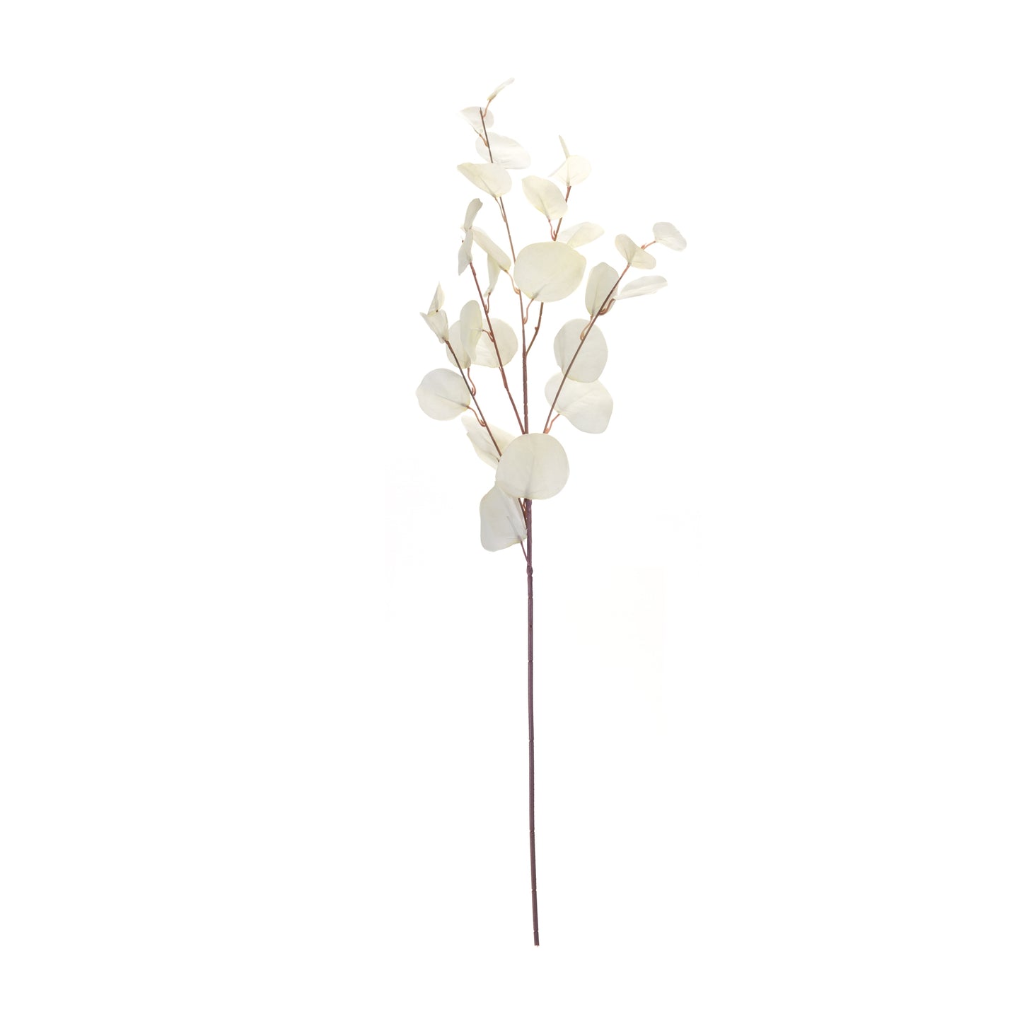 Ivory Silver Dollar Eucalyptus Leaf Spray (Set of 6) alternate view 4