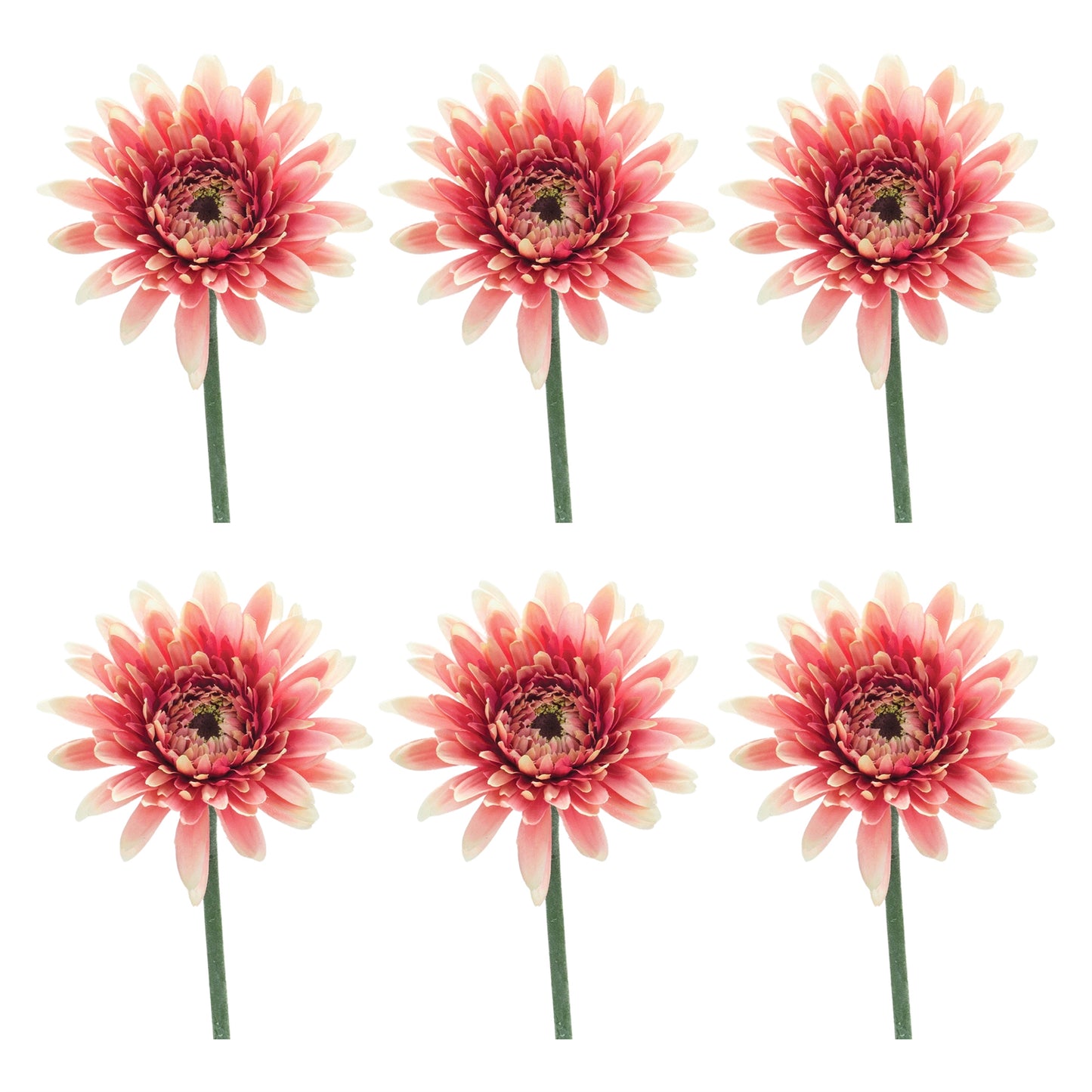 Gerbera Daisy Floral Stem (Set of 6) alternate view 3