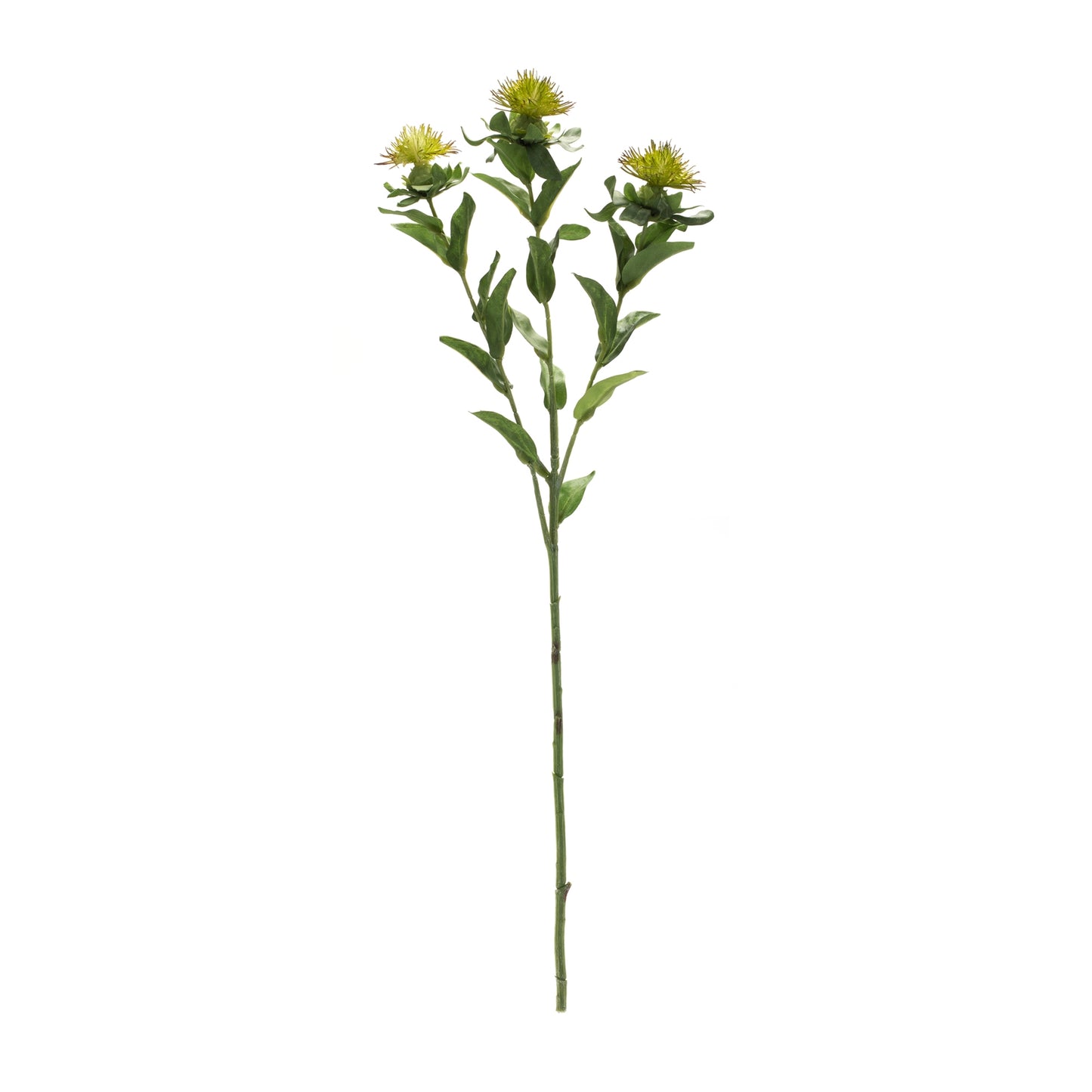 Green Thistle Floral Spray (Set of 6) alternate view 3