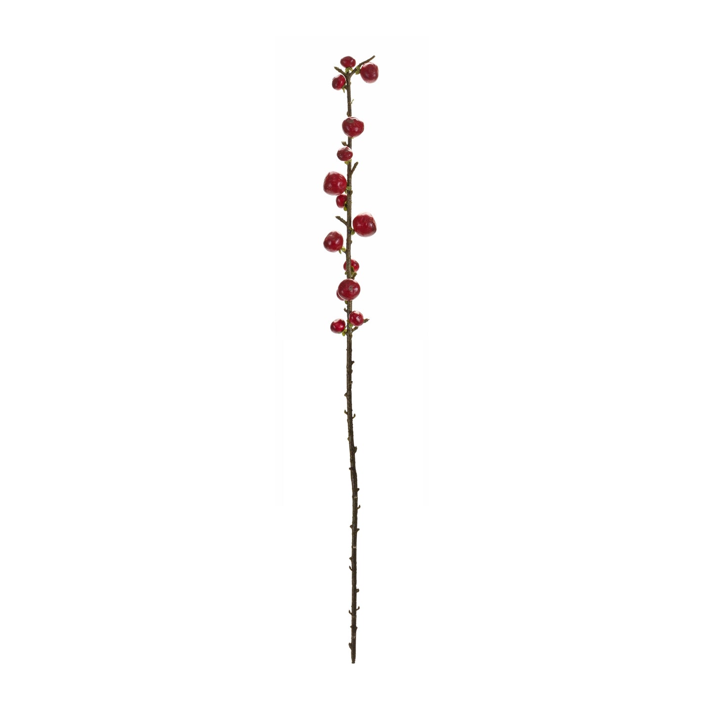 Red Berry Twig Stem (Set of 6) alternate view 3