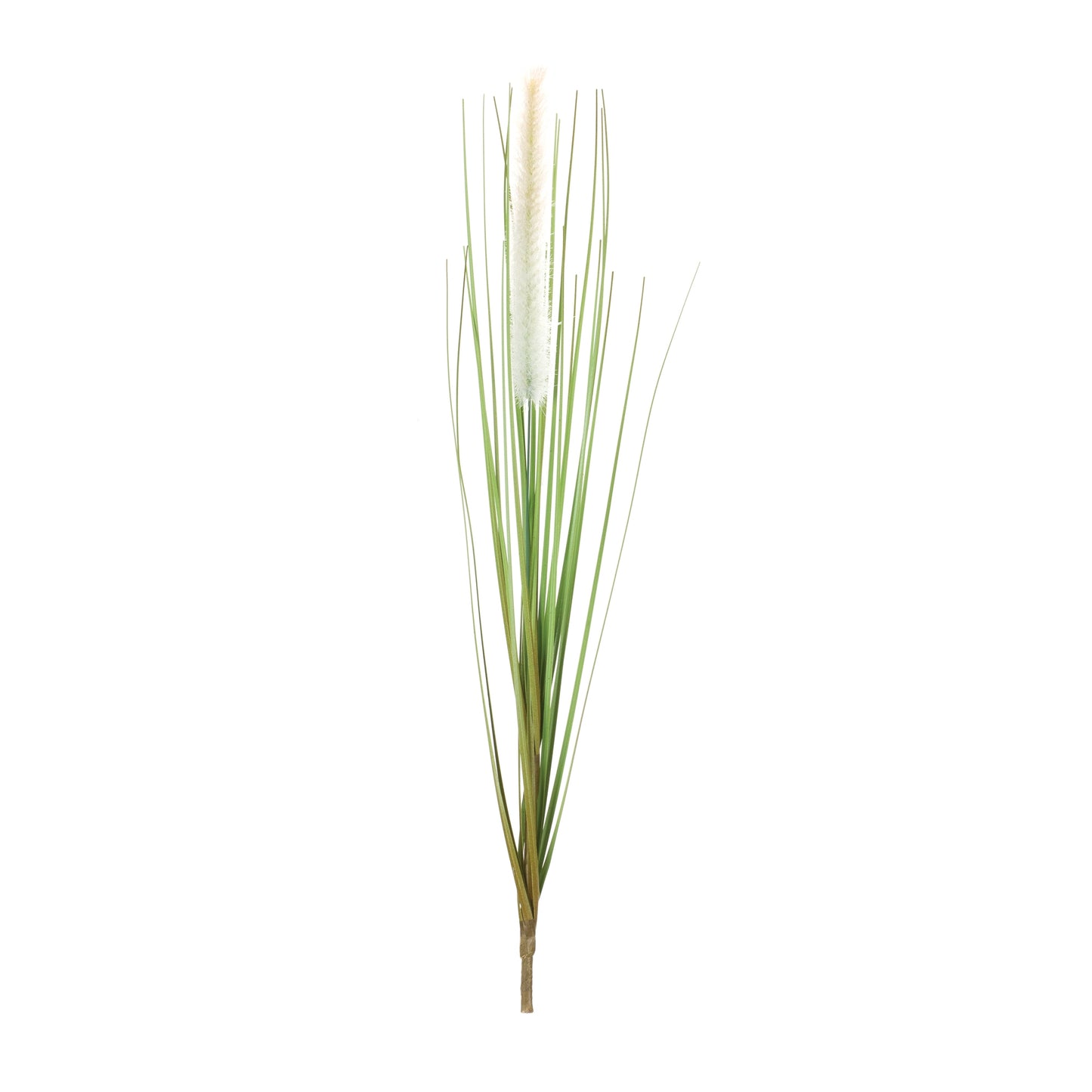 Foxtail Bush (Set of 12) alternate view 2