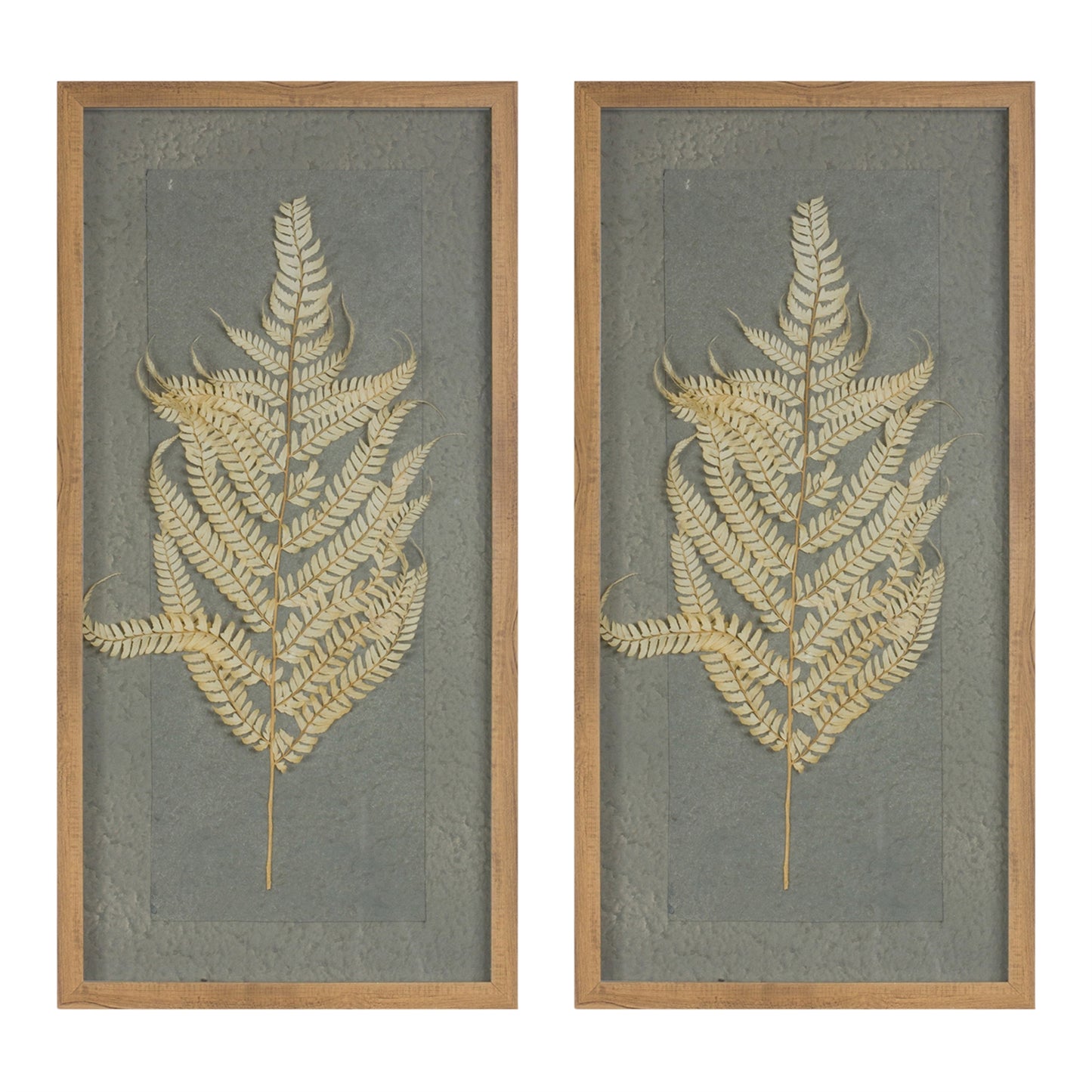Dried Fern Frame (Set of 2) alternate view 2
