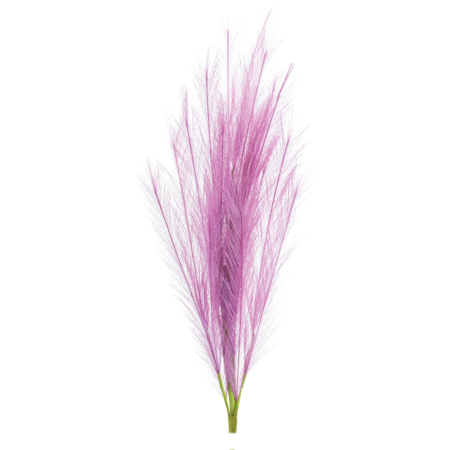 Plume Spray (Set of 6) alternate view 4