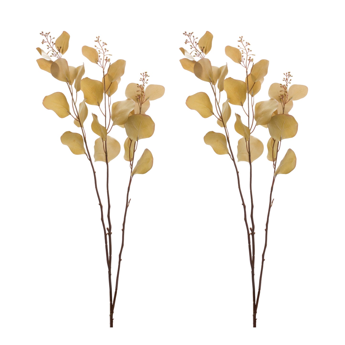 Seeded Eucalyptus Stem (Set of 2) alternate view 3