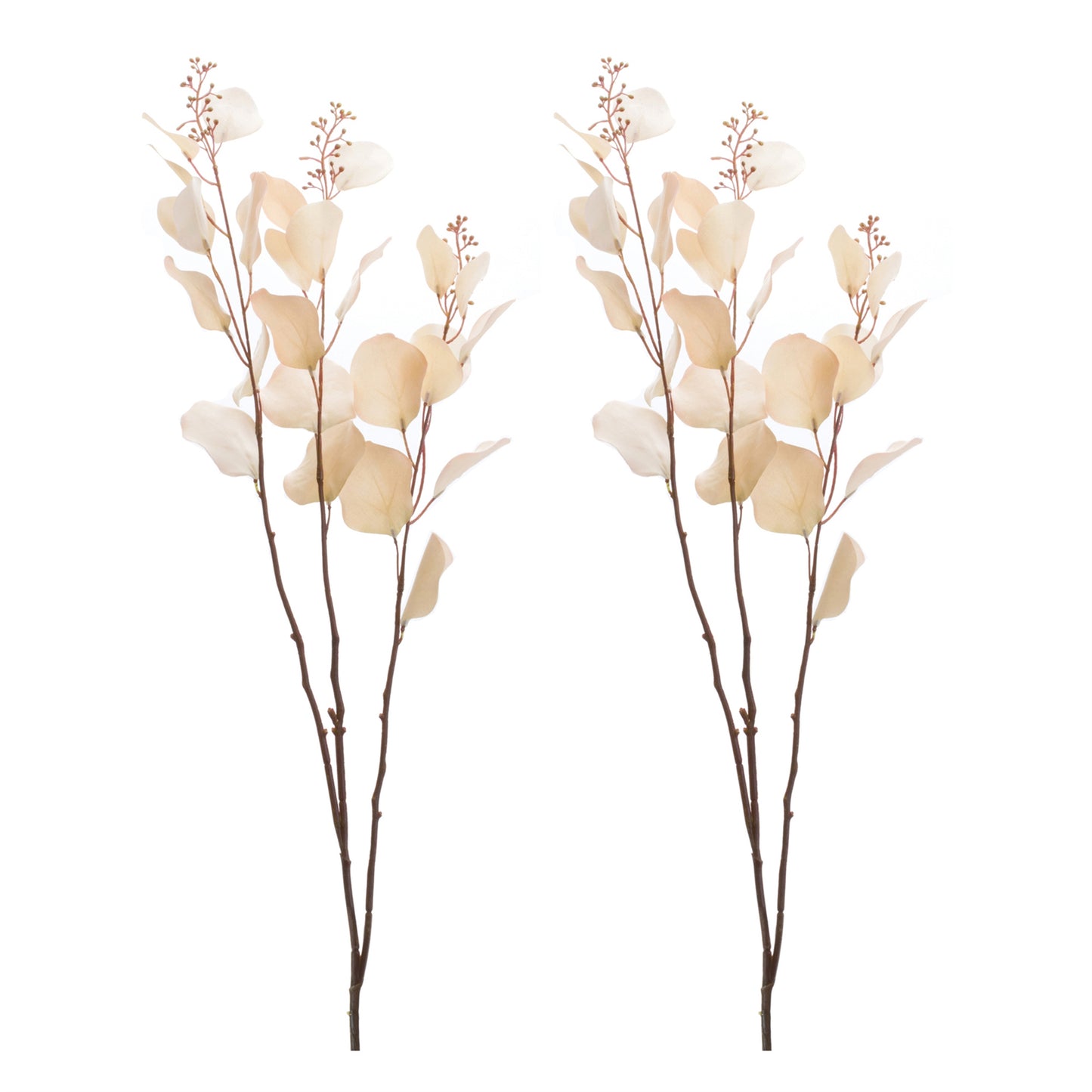 Seeded Eucalyptus Stem (Set of 2) alternate view 4