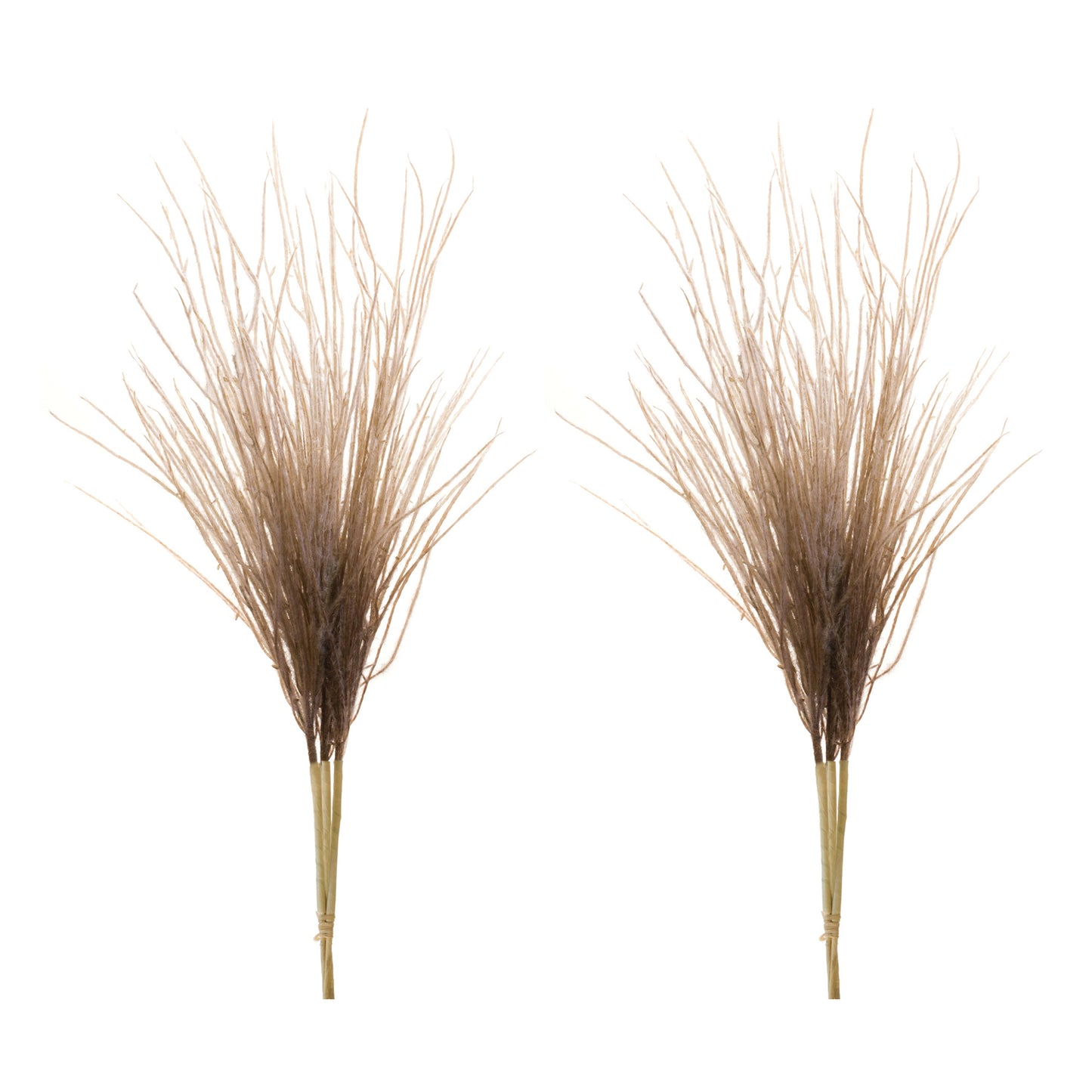 Grass Plume Bundle (Set of 2) alternate view 3