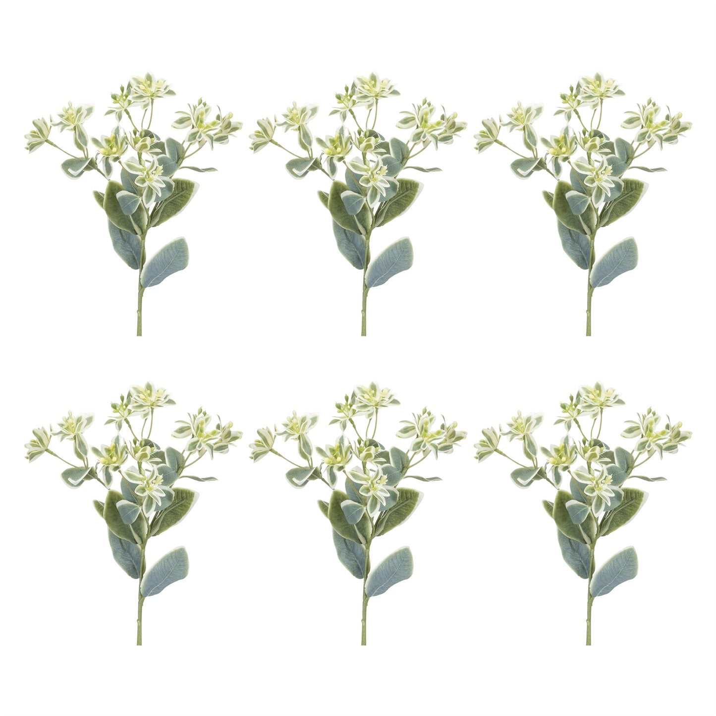 Euphorbia Floral Stem (Set of 6) alternate view 3