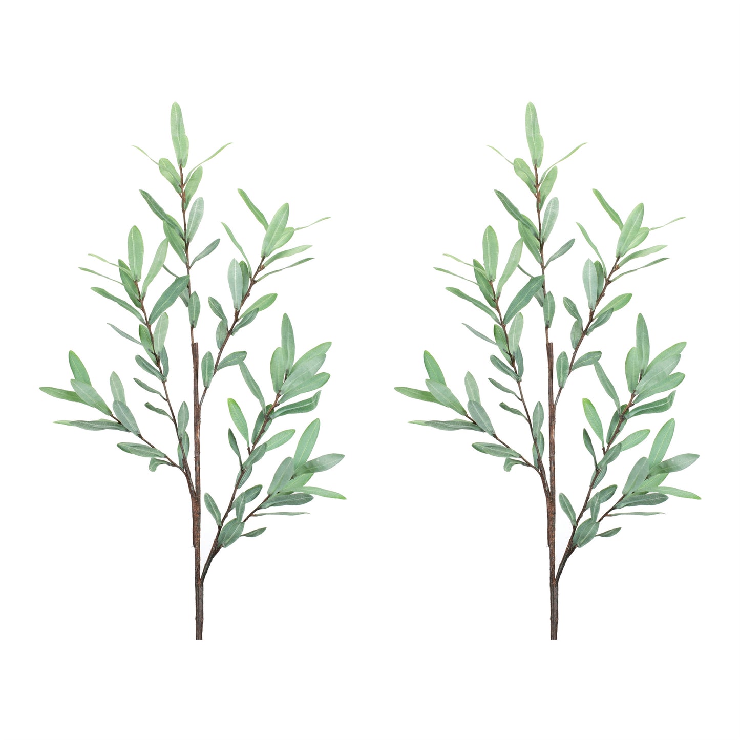 Olive Leaf Twig Branch (Set of 2) alternate view 3