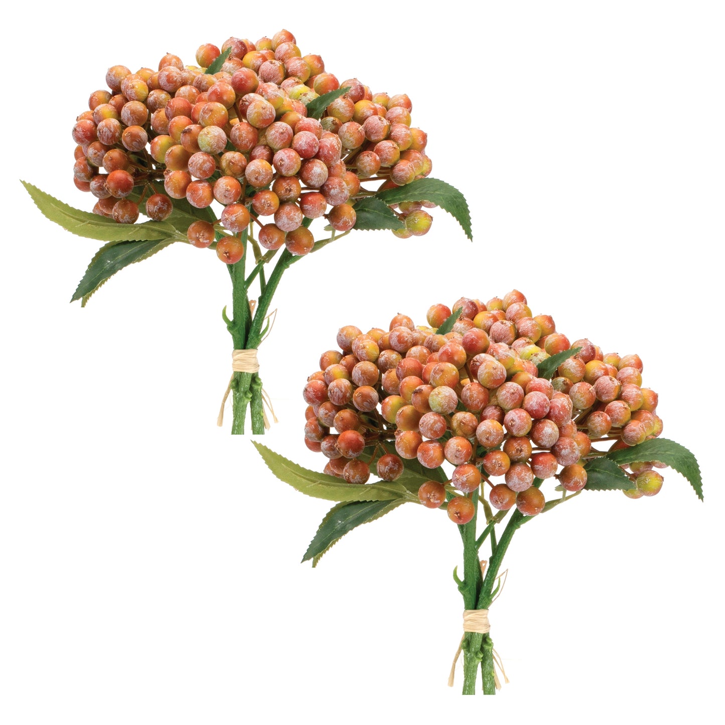 Orange Berry Bundle (Set of 2) alternate view 3