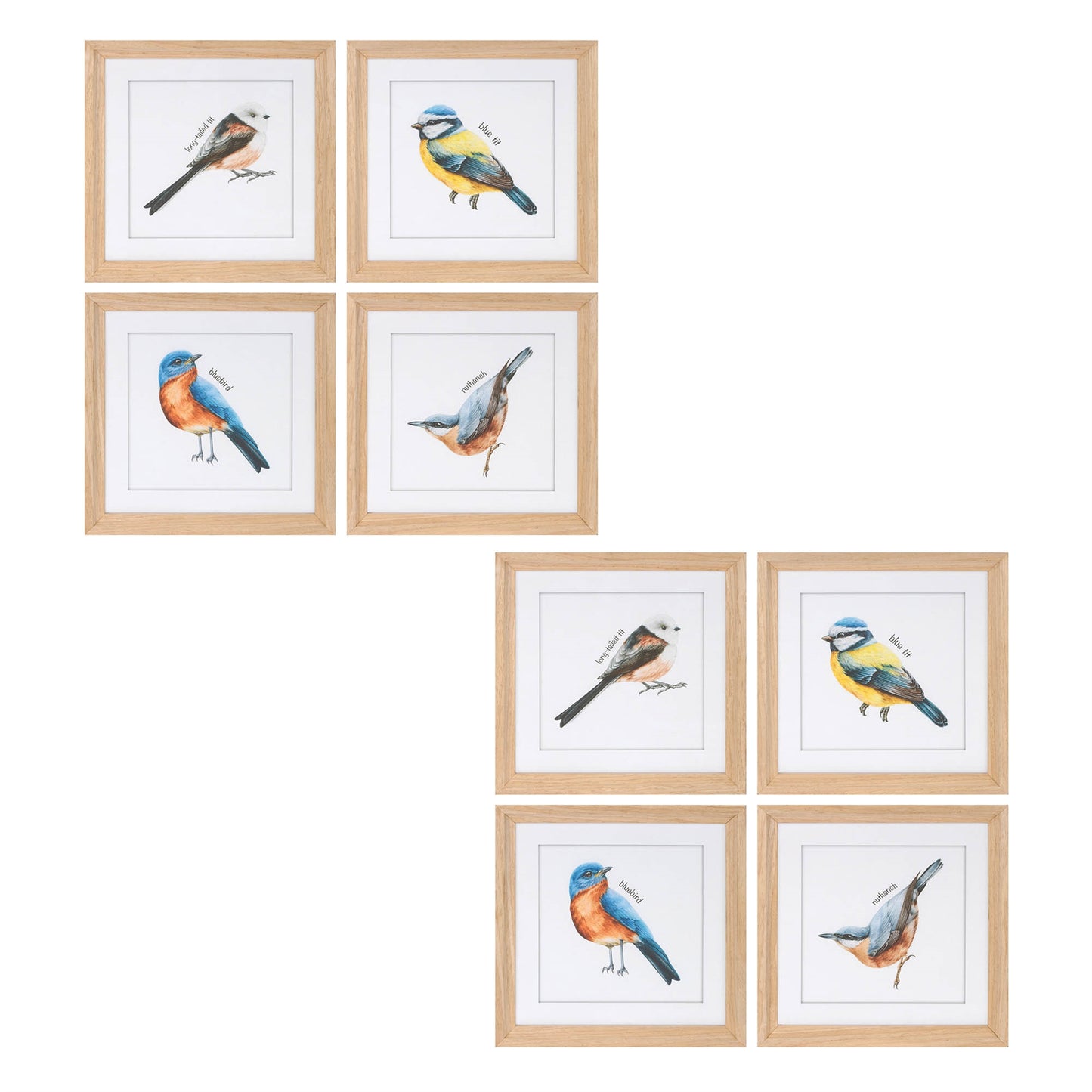 Framed Bird Print Under Glass (Set of 8) alternate view 6