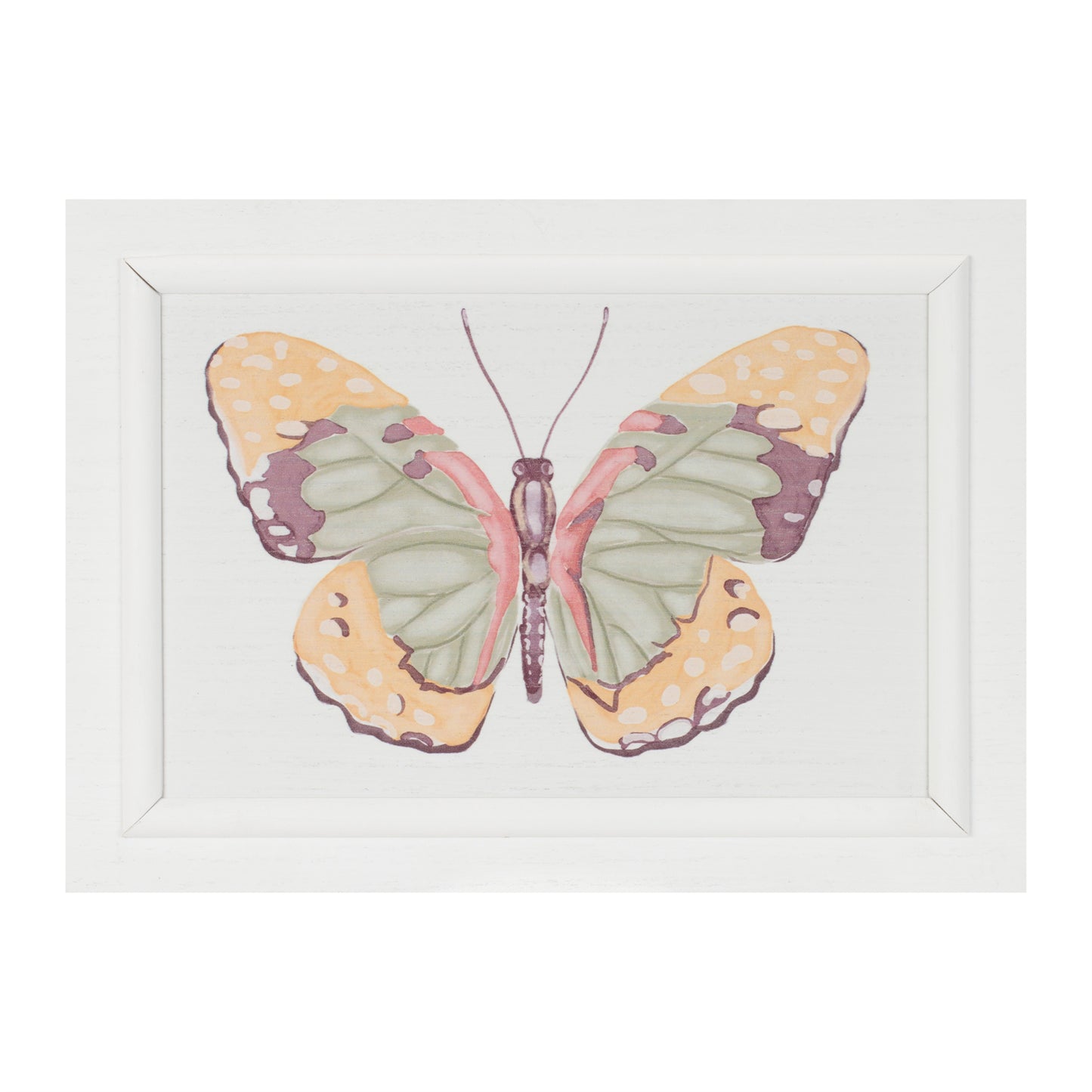 Framed Bird and Butterfly Wall Plaque (Set of 2) alternate view 3