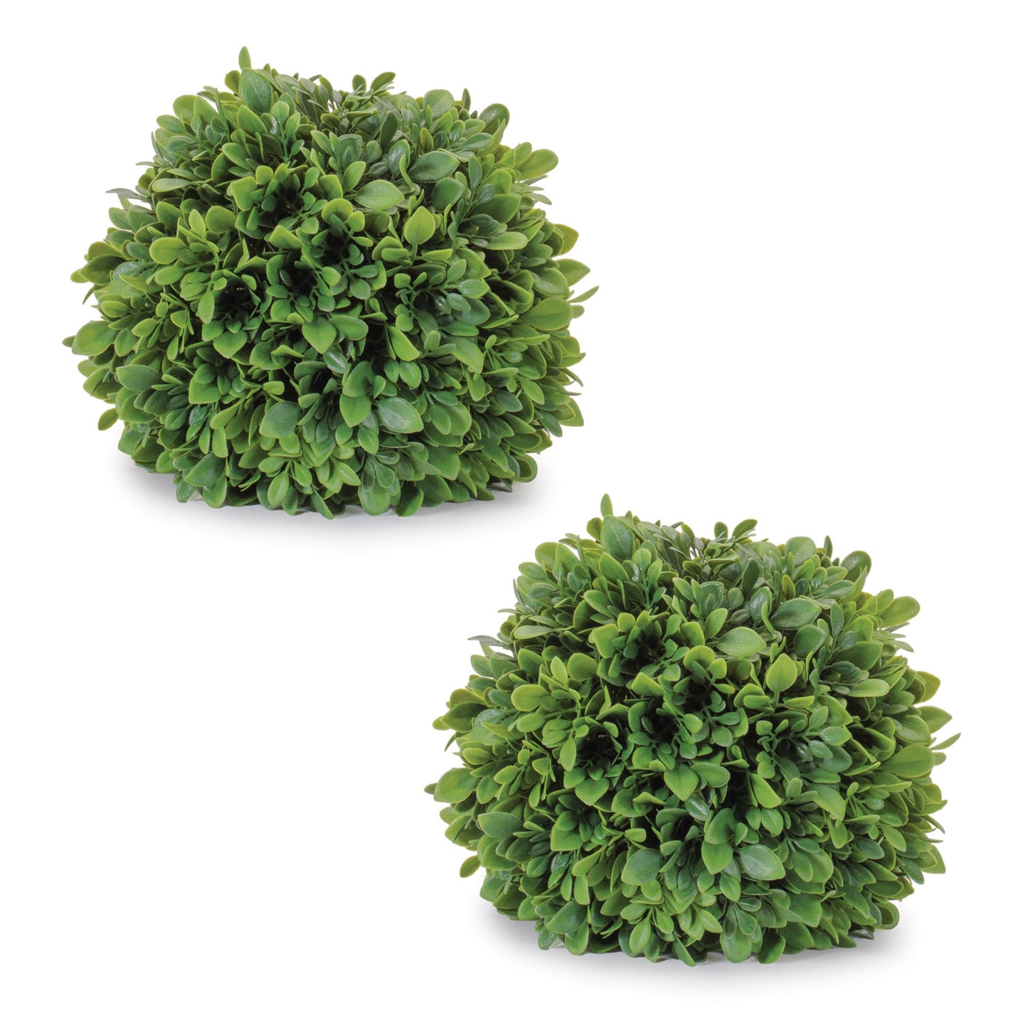 Boxwood Foliage Orb (Set of 2) alternate view 2