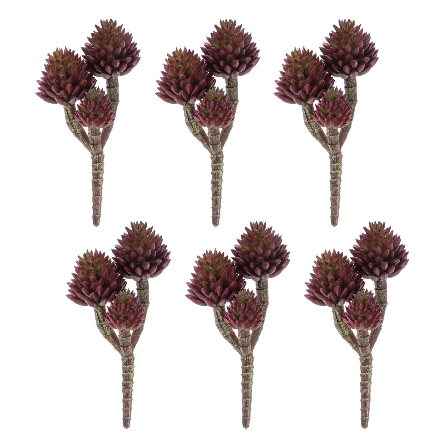 Succulent Plant Pick (Set of 6) alternate view 2