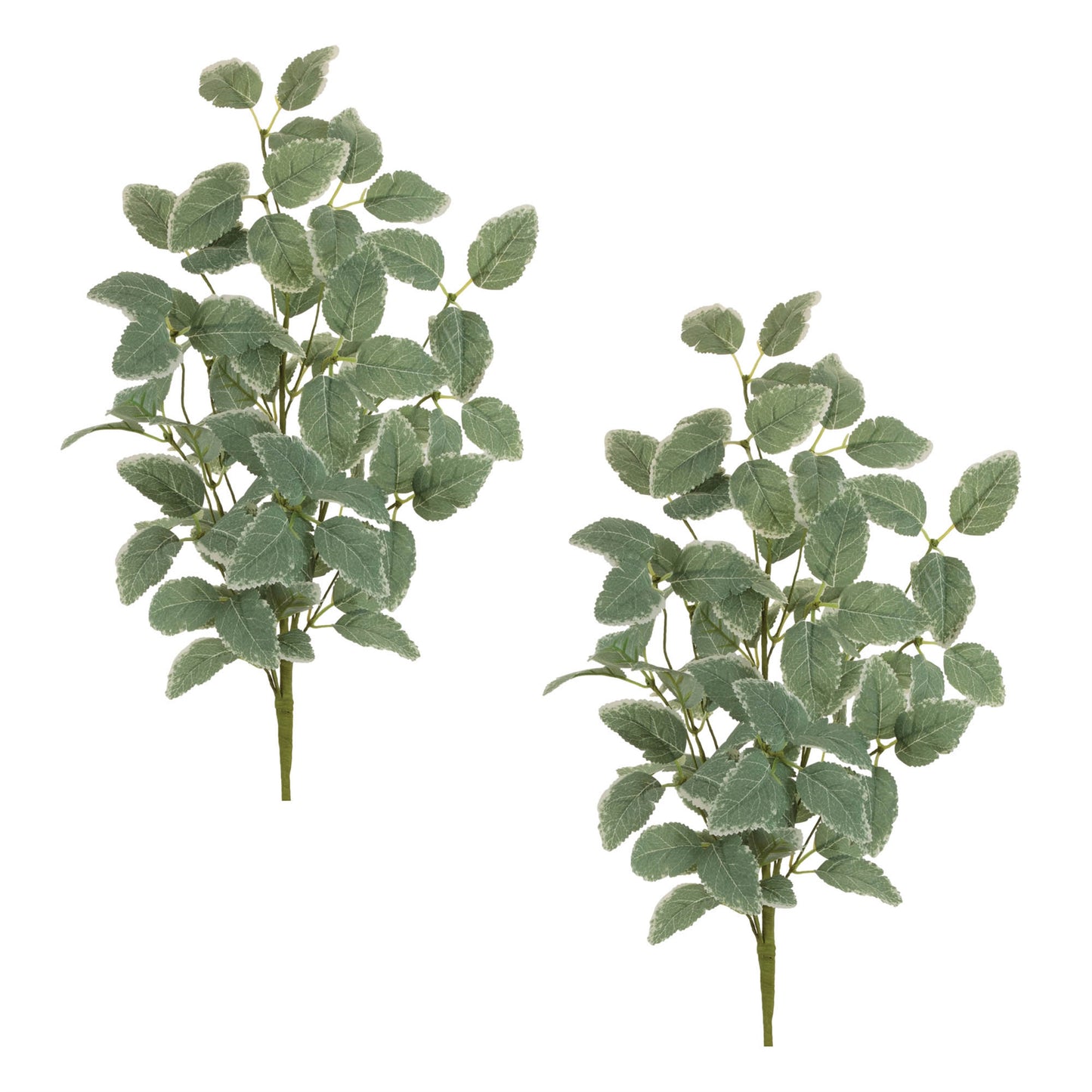 Variegated Foliage Spray (Set of 2) alternate view 3