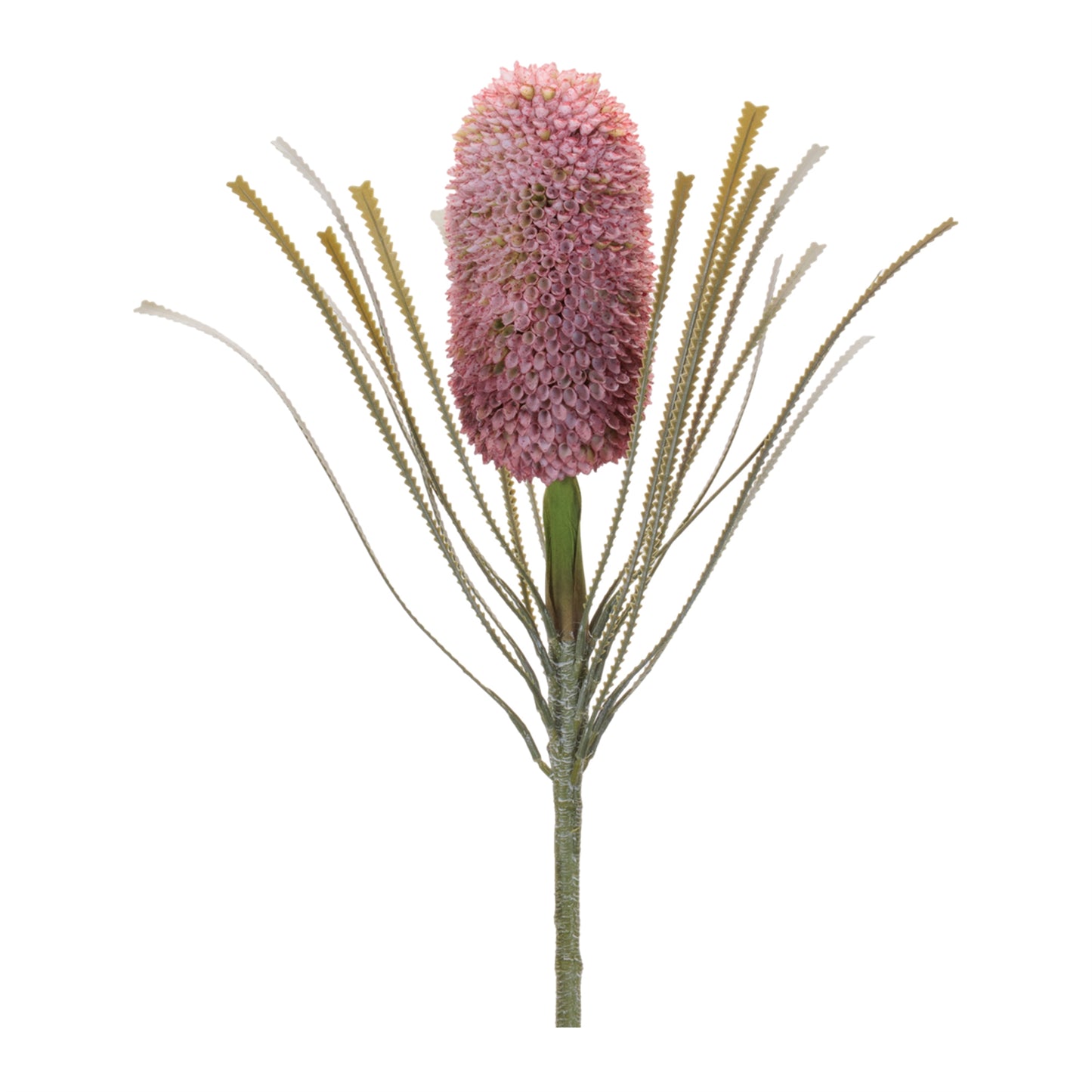 Protea Floral Stem (Set of 2) alternate view 3