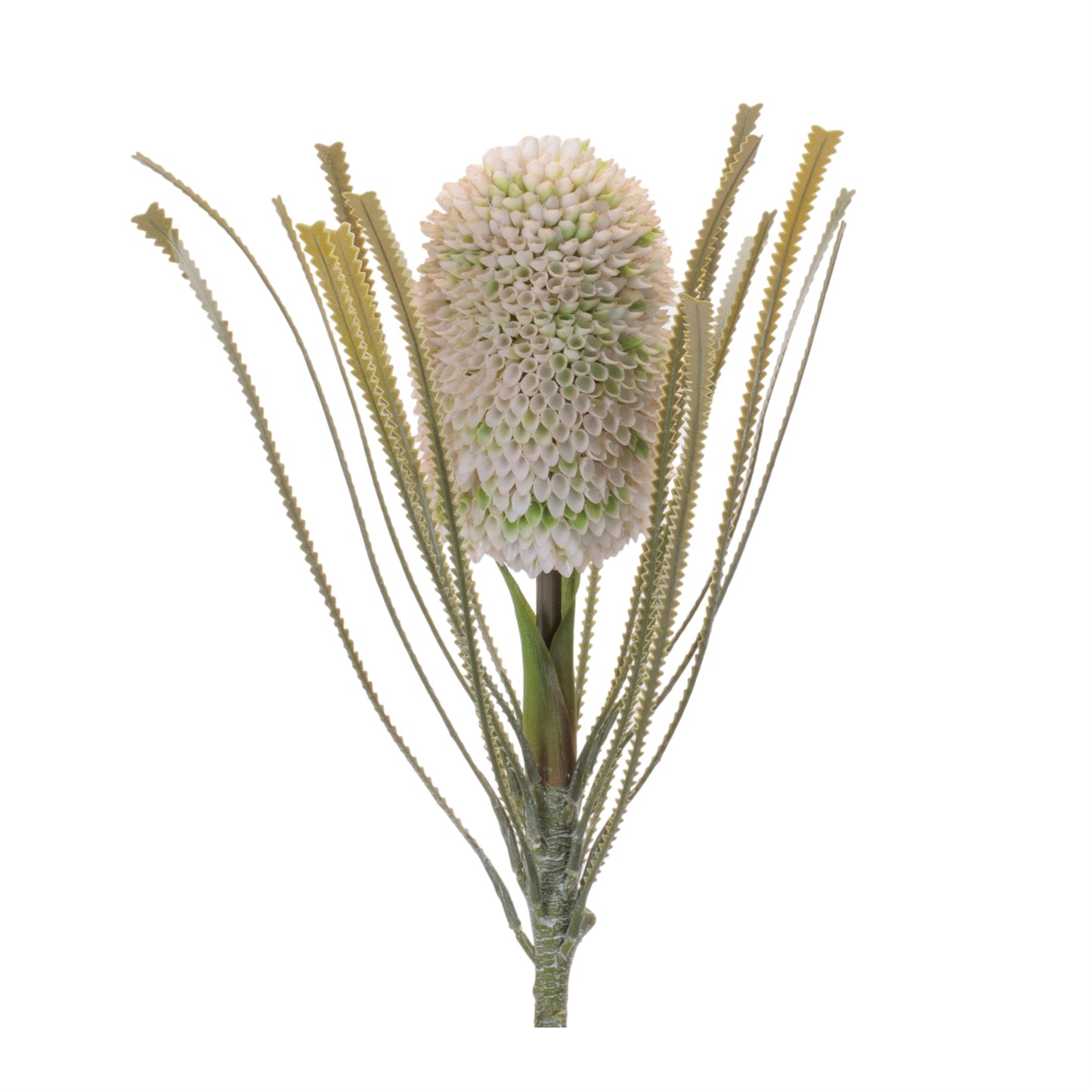 Protea Floral Stem (Set of 2) alternate view 3