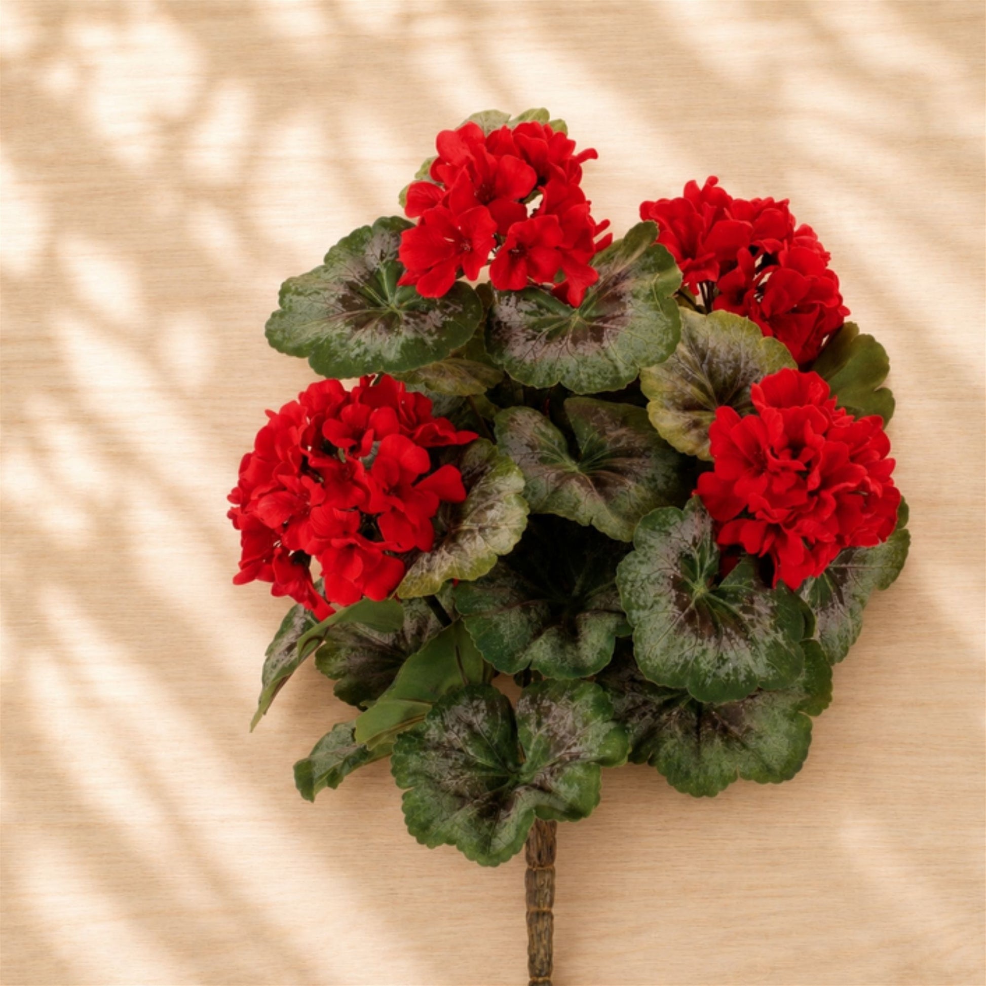 Geranium Floral Bush (Set of 2) alternate view 2