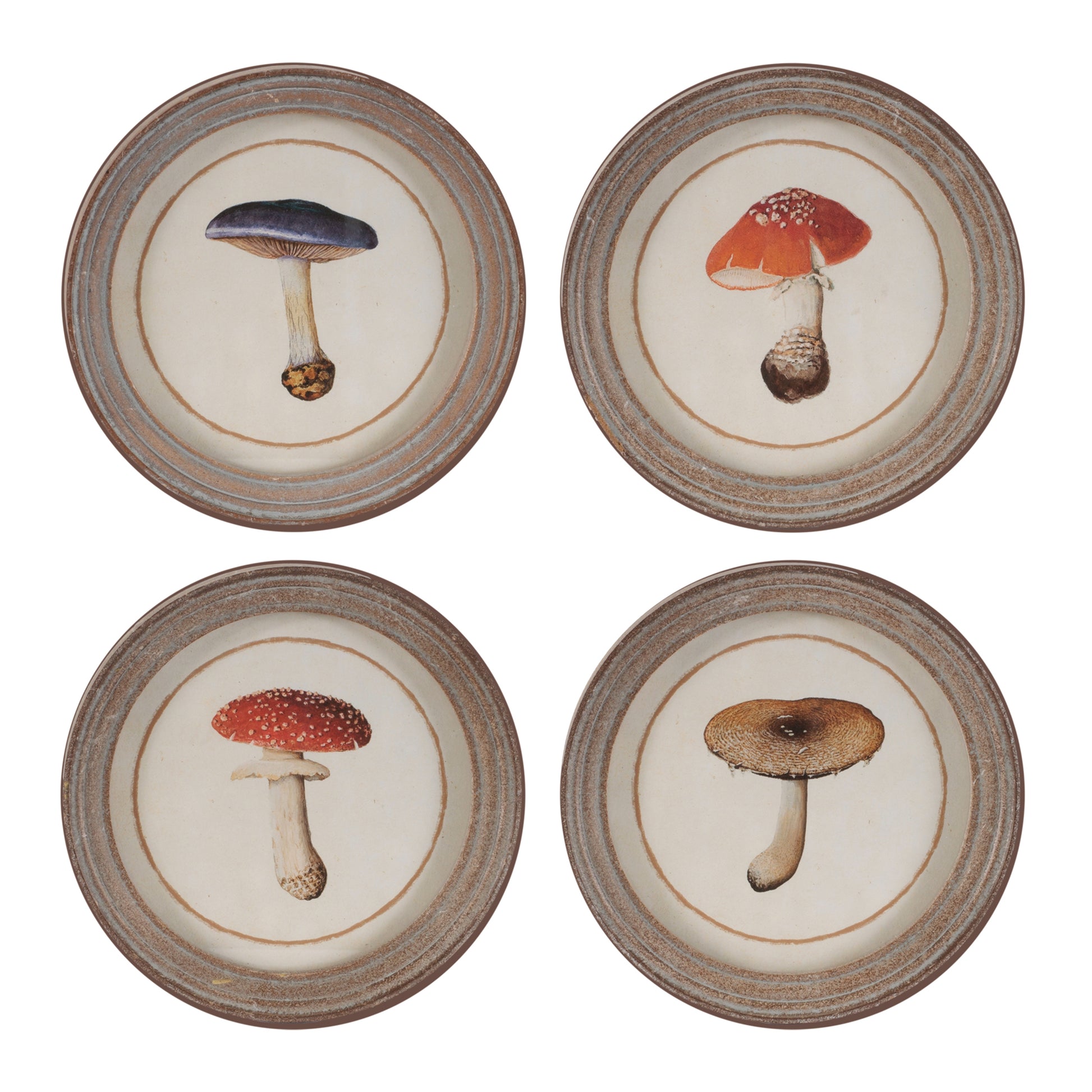 Framed Mushroom Print (Set of 4)