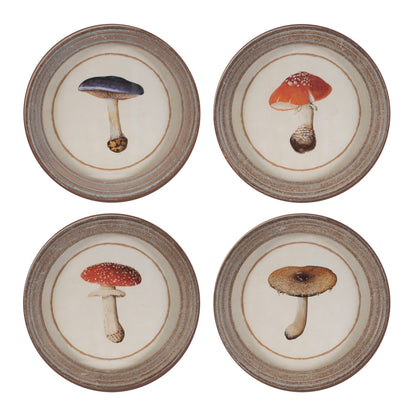Framed Mushroom Print (Set of 4)