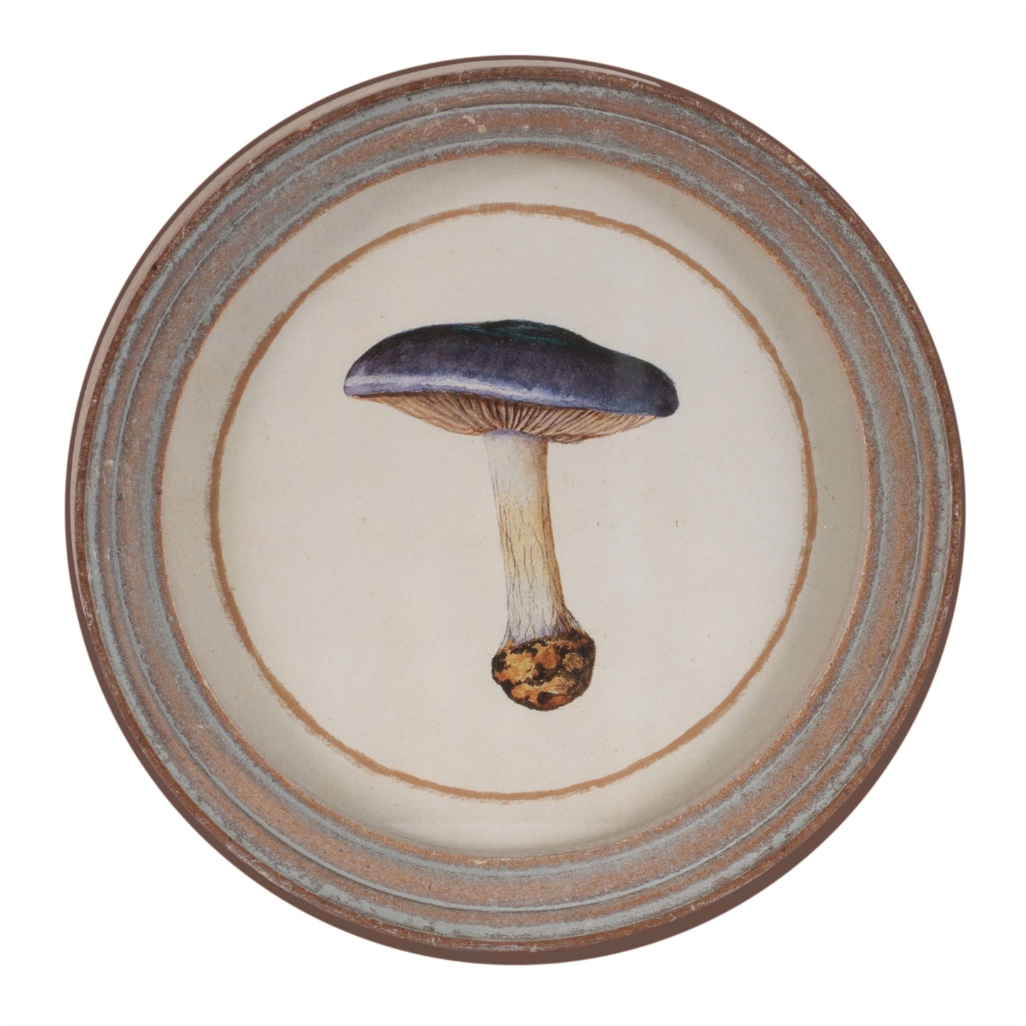 Framed Mushroom Print (Set of 4) alternate view 3