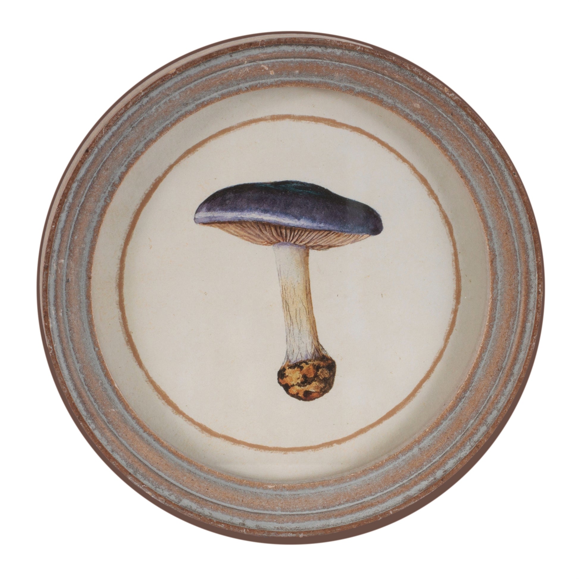 Framed Mushroom Print (Set of 4) alternate view 3