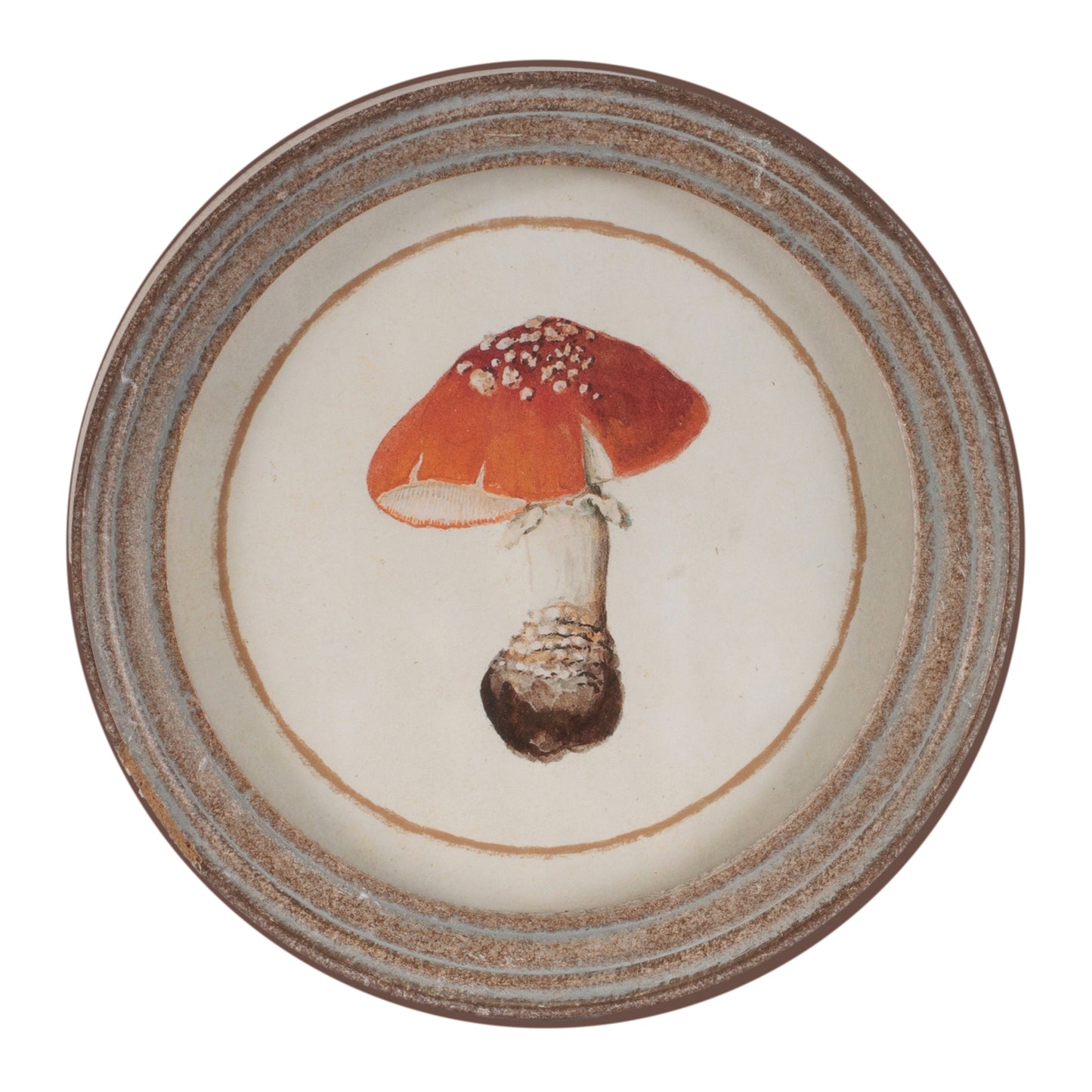 Framed Mushroom Print (Set of 4) alternate view 4