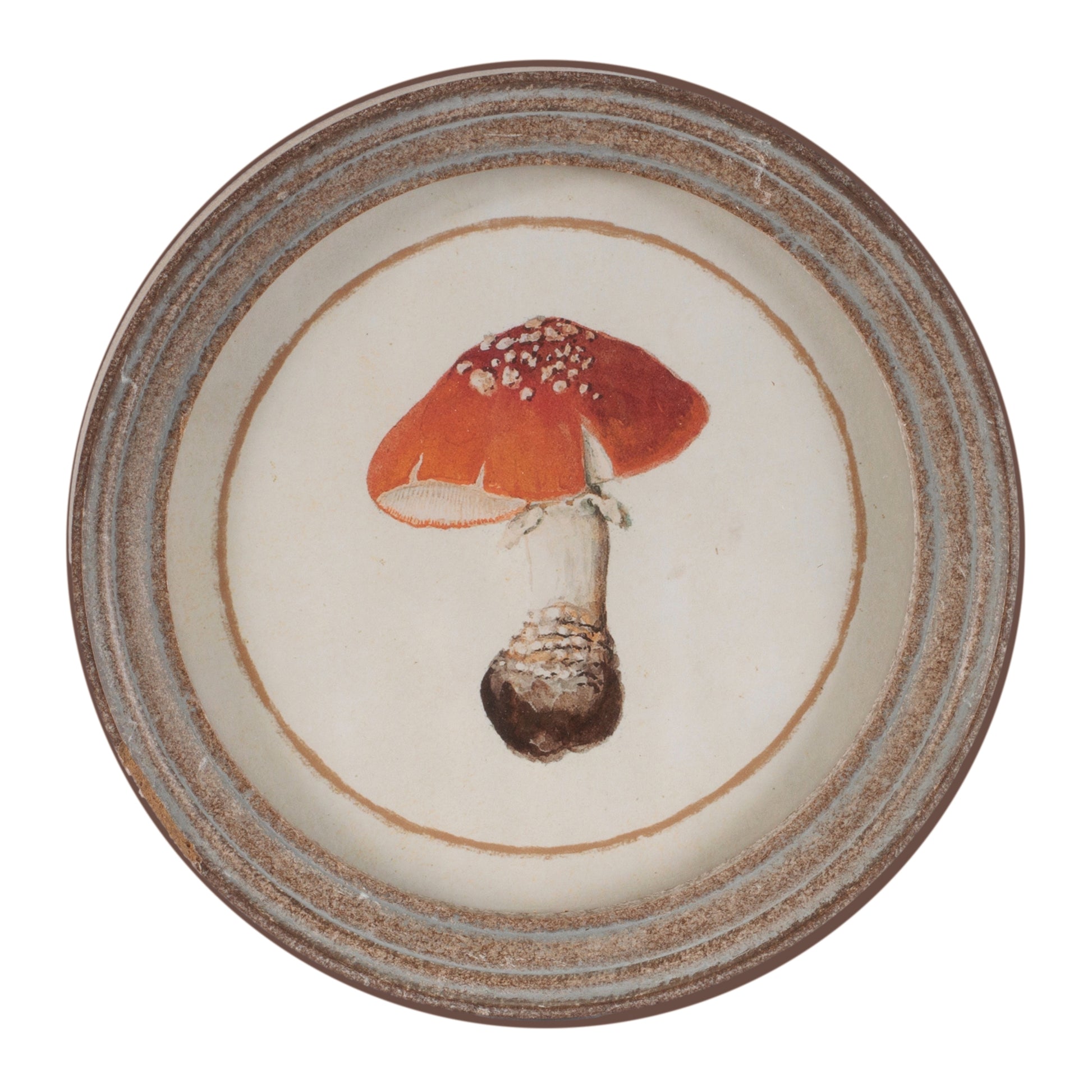 Framed Mushroom Print (Set of 4) alternate view 4