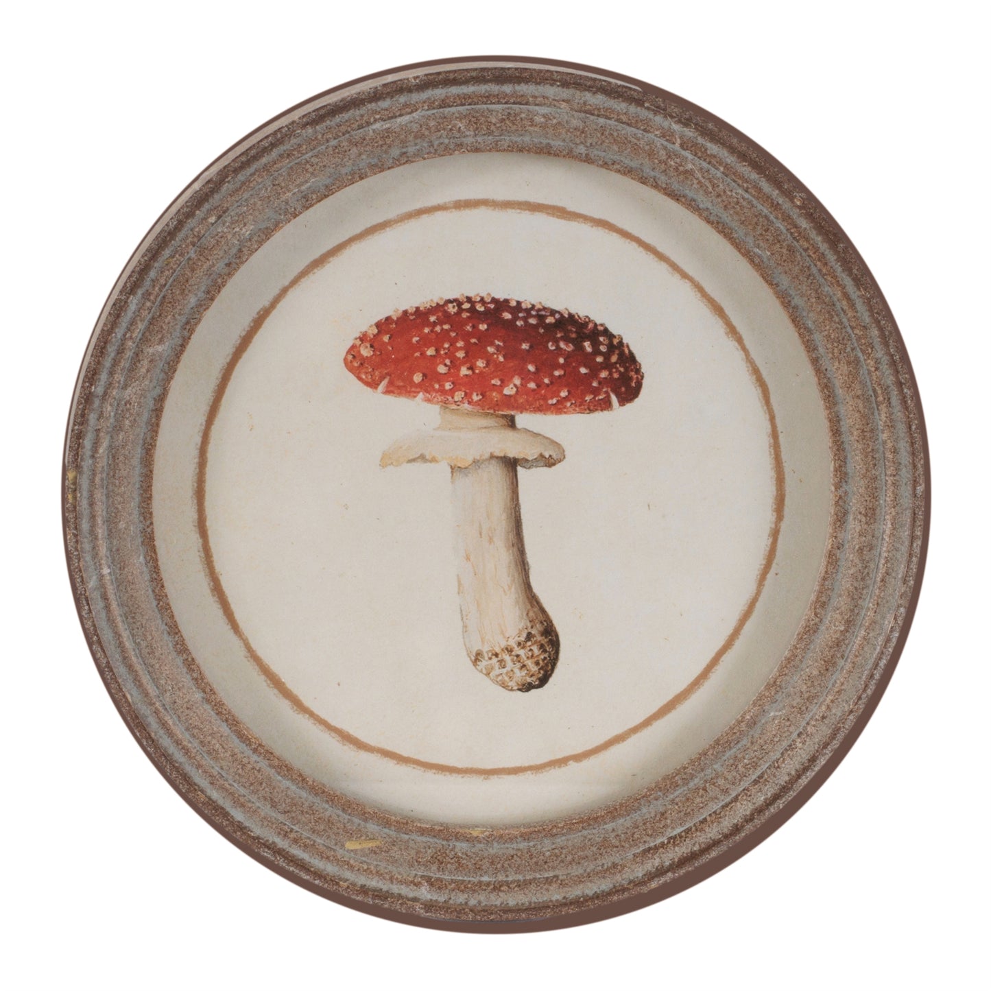 Framed Mushroom Print (Set of 4) alternate view 5