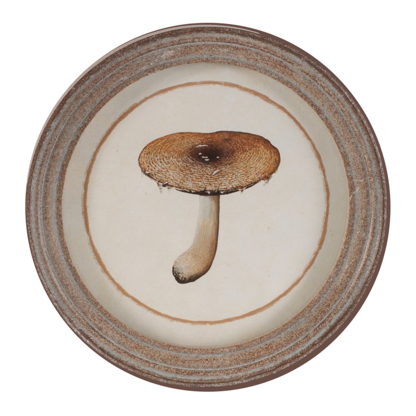 Framed Mushroom Print (Set of 4) alternate view 6