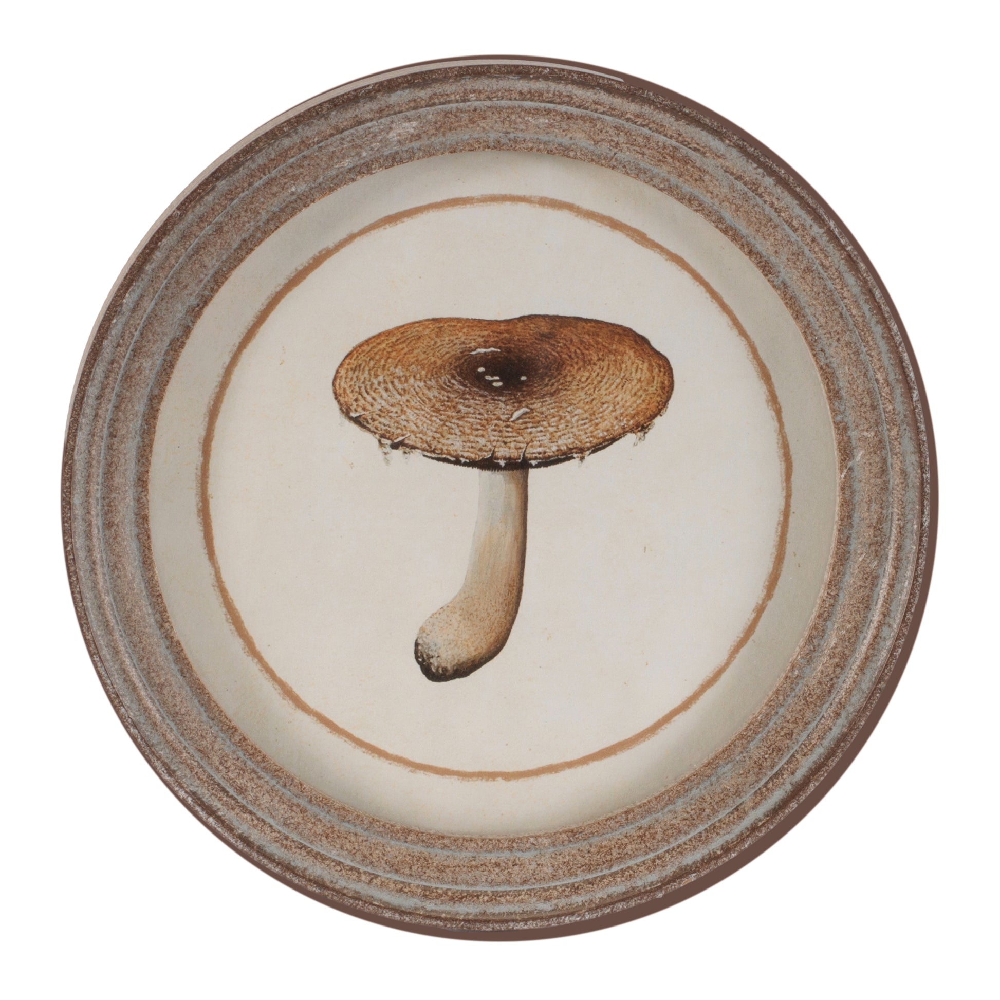Framed Mushroom Print (Set of 4) alternate view 6