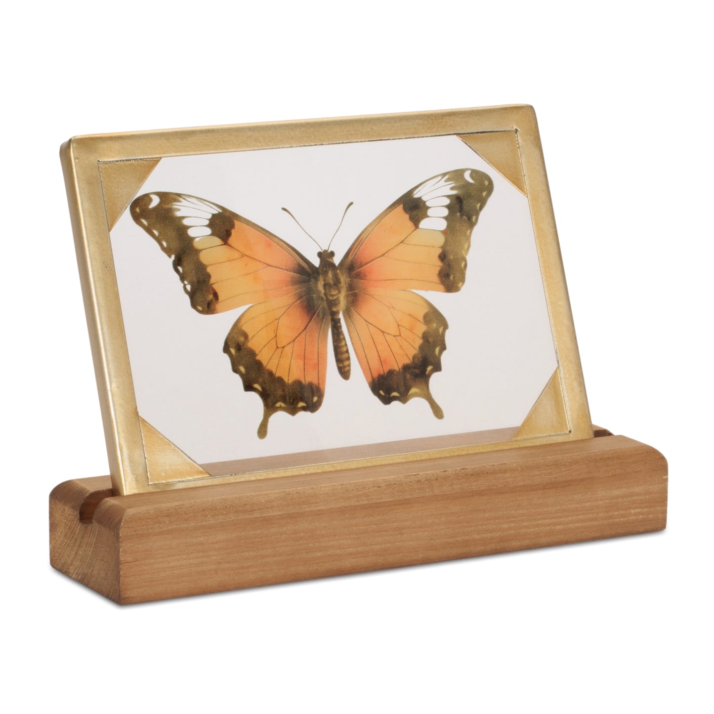 Framed Butterfly Tabletop Décor 9"L