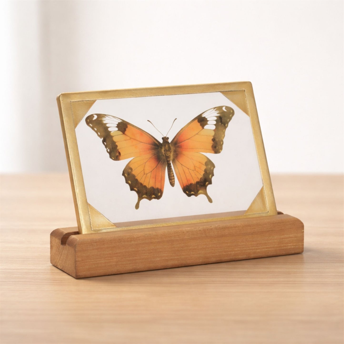 Framed Butterfly Tabletop Décor 9"L alternate view 2
