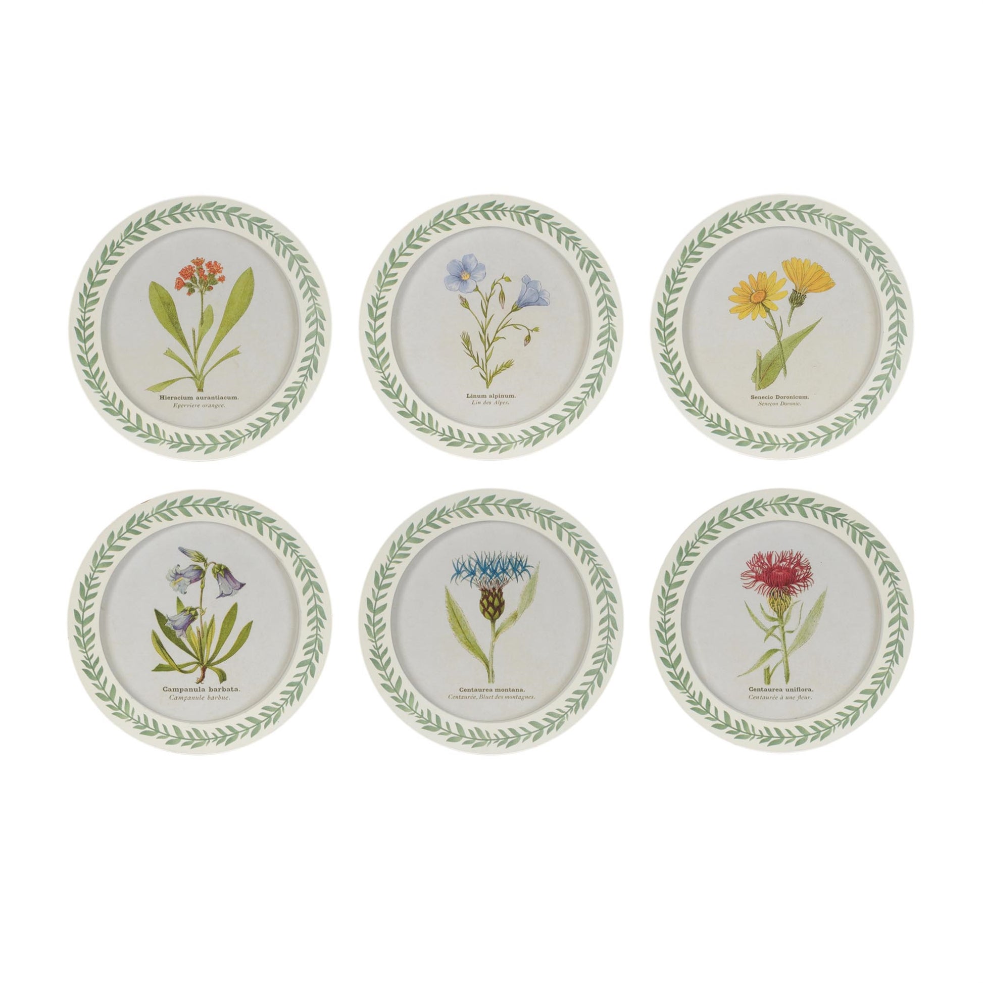 Round Framed Encyclopedia Floral Print (Set of 6)