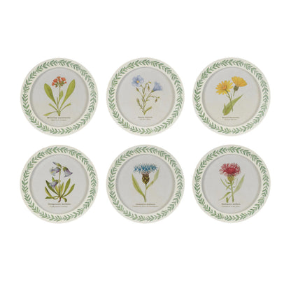Round Framed Encyclopedia Floral Print (Set of 6)