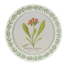 Round Framed Encyclopedia Floral Print (Set of 6) alternate view 2