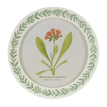Round Framed Encyclopedia Floral Print (Set of 6) alternate view 2