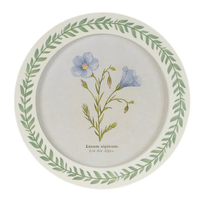 Round Framed Encyclopedia Floral Print (Set of 6) alternate view 3