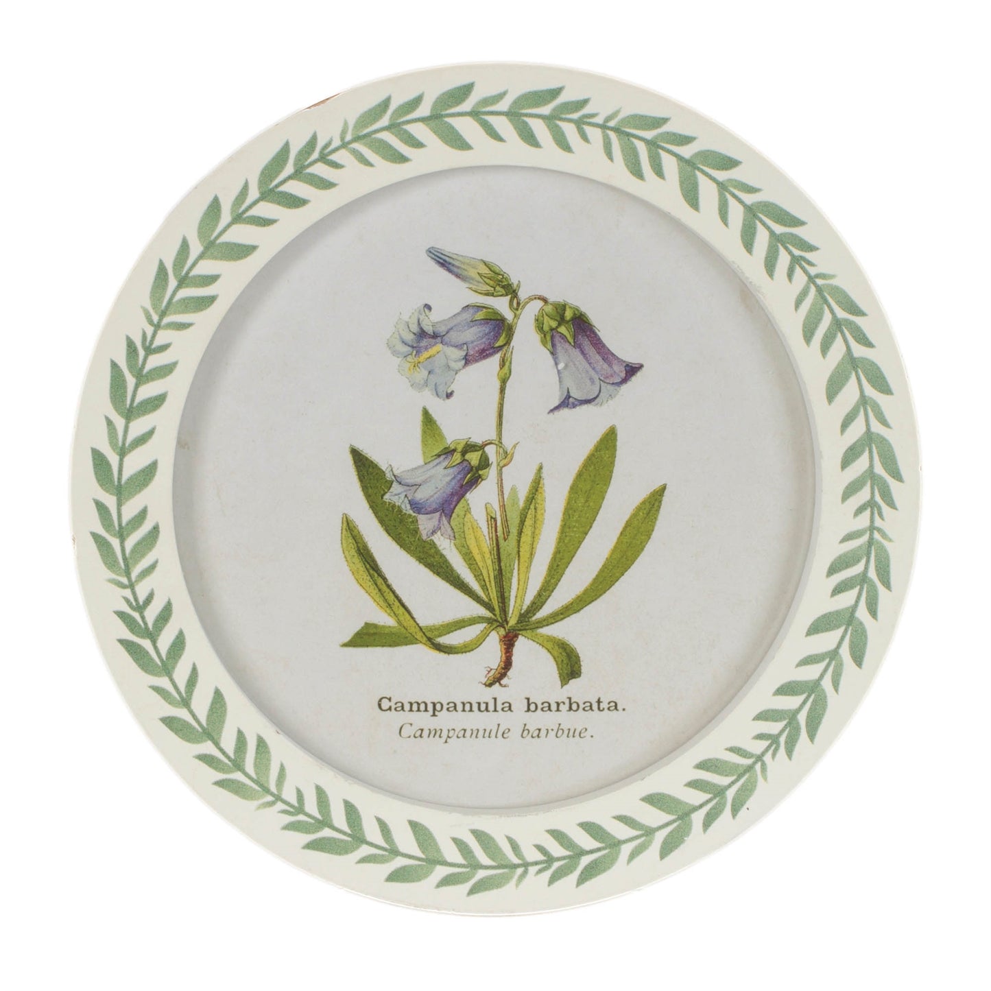 Round Framed Encyclopedia Floral Print (Set of 6) alternate view 5