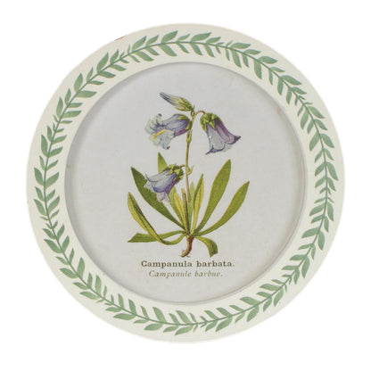 Round Framed Encyclopedia Floral Print (Set of 6) alternate view 5