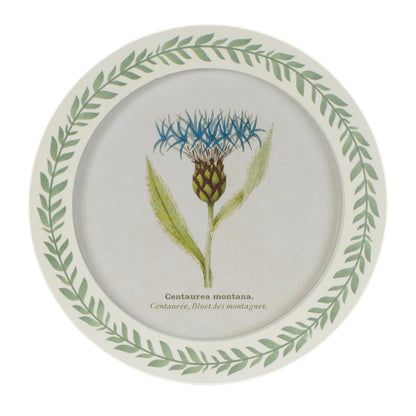 Round Framed Encyclopedia Floral Print (Set of 6) alternate view 6