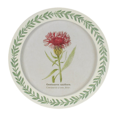 Round Framed Encyclopedia Floral Print (Set of 6) alternate view 7