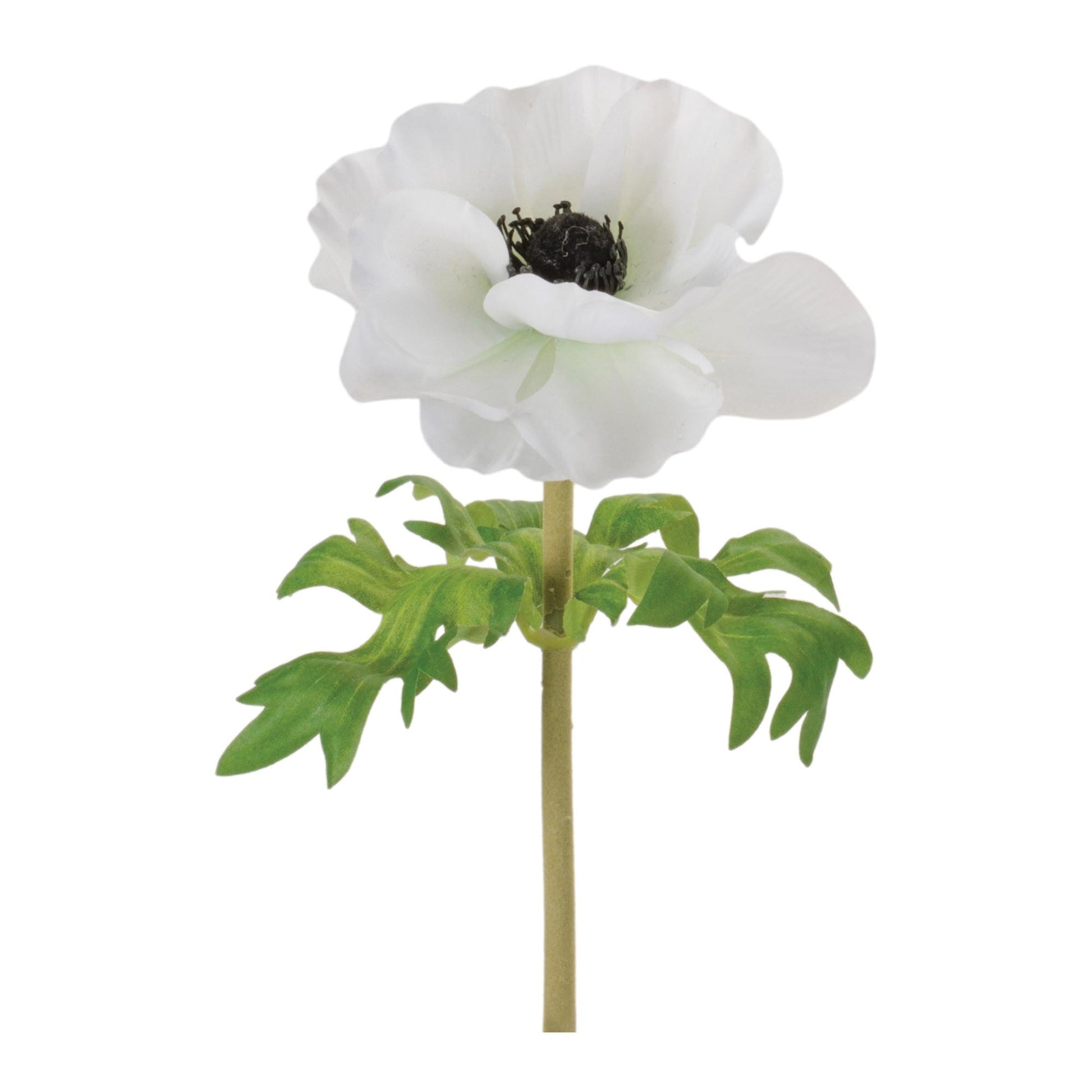 Anemone Floral Stem (Set of 6)
