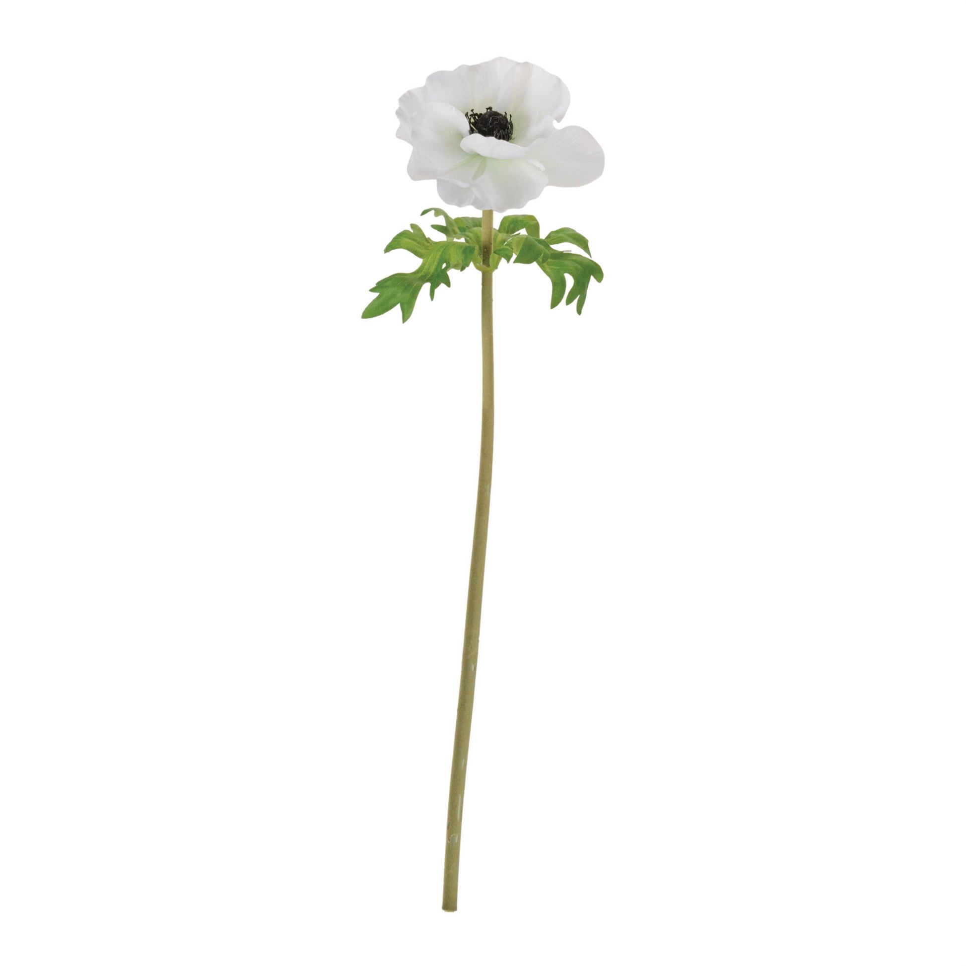 Anemone Floral Stem (Set of 6) alternate view 2