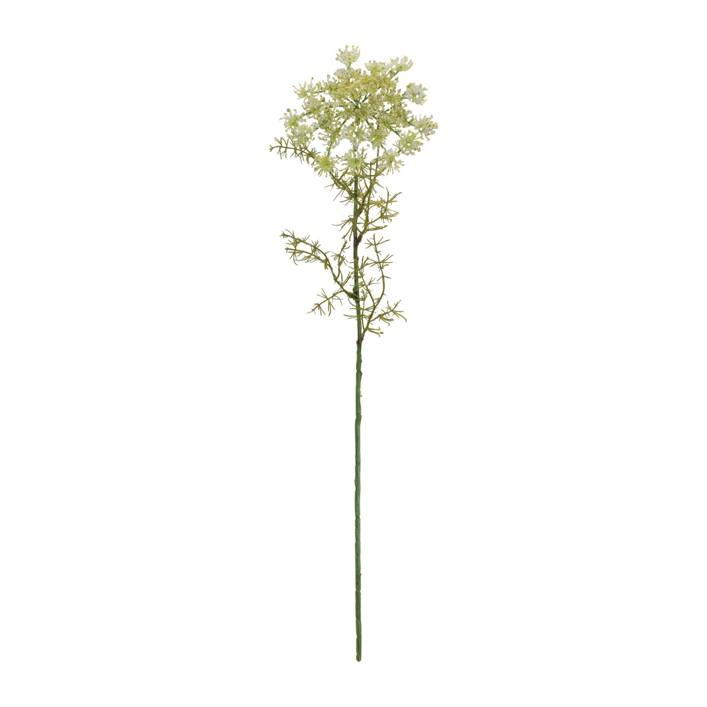 Queen Anne’s Lace Floral Stem (Set of 4) alternate view 3